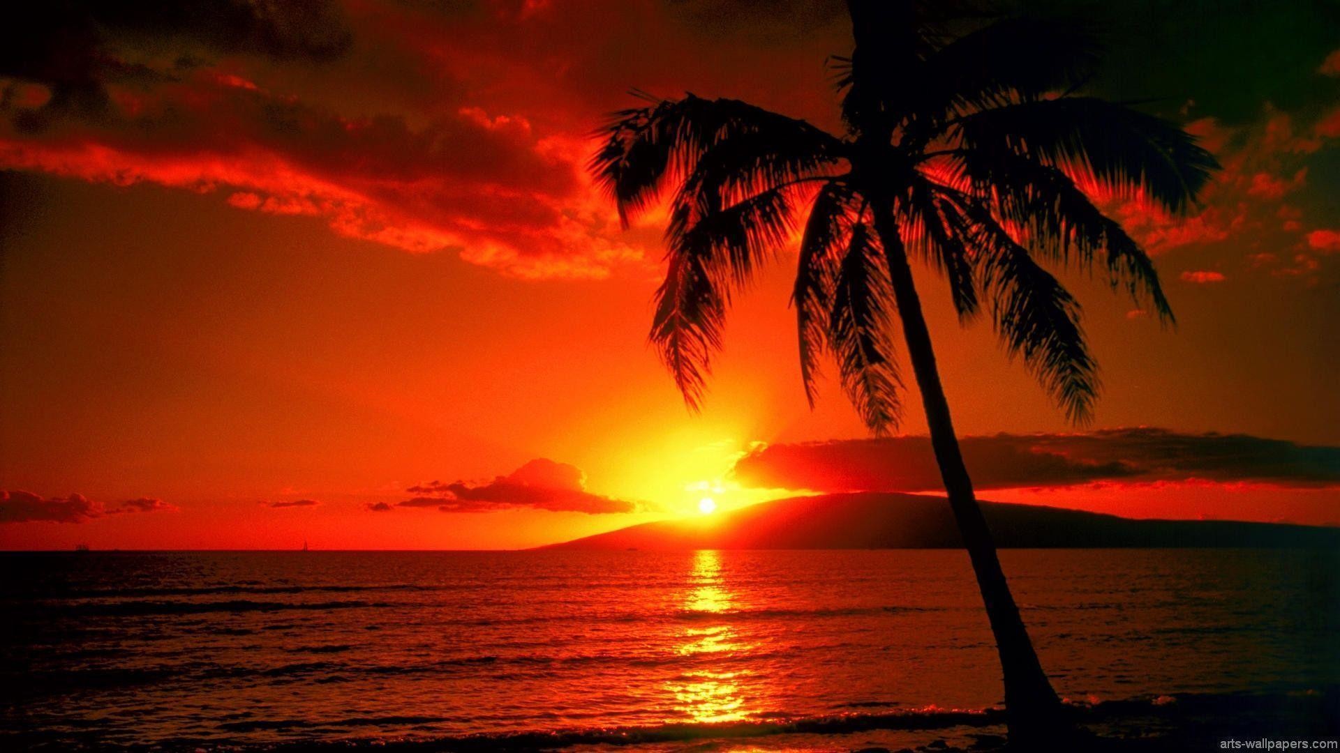 1920x1080 Tropical Island Sunset Wallpapers
