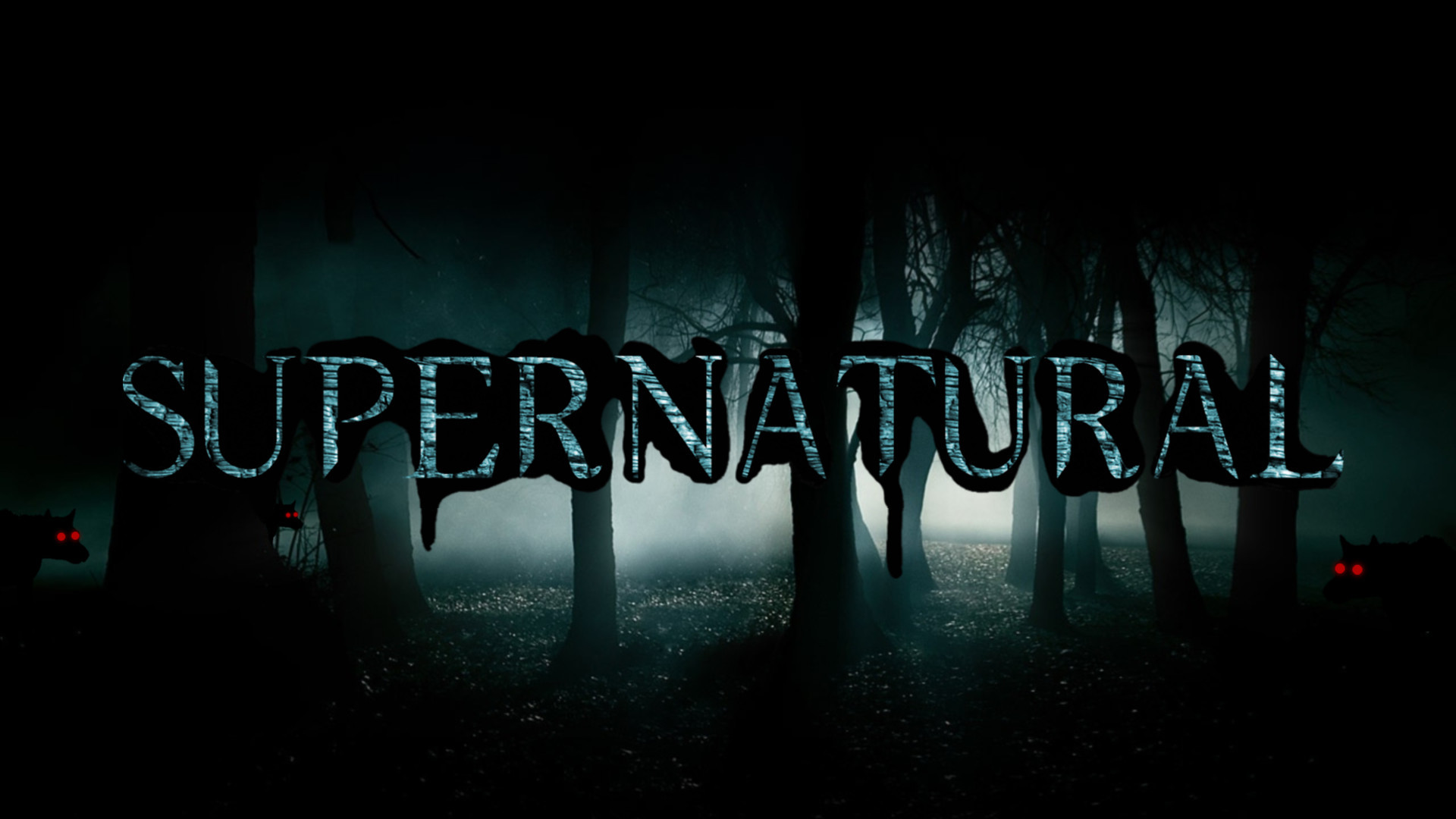 1920x1080  Dark Forest of the series Supernatural