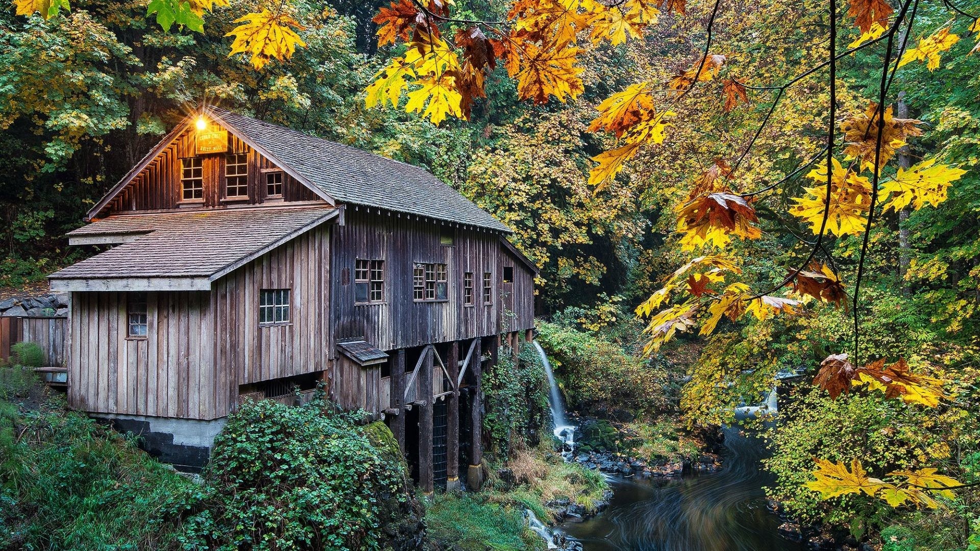 1920x1080 Creek Tag - Mill Woodland Washington Creek Usa Autumn Cedar Grist Nature Hd  Desktop for HD