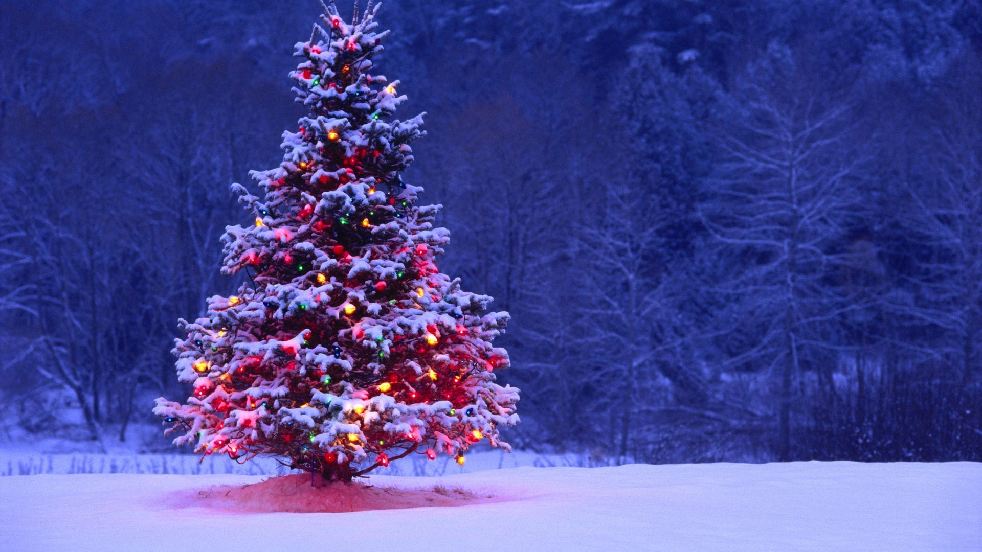1920x1080  free download christmas tree background 