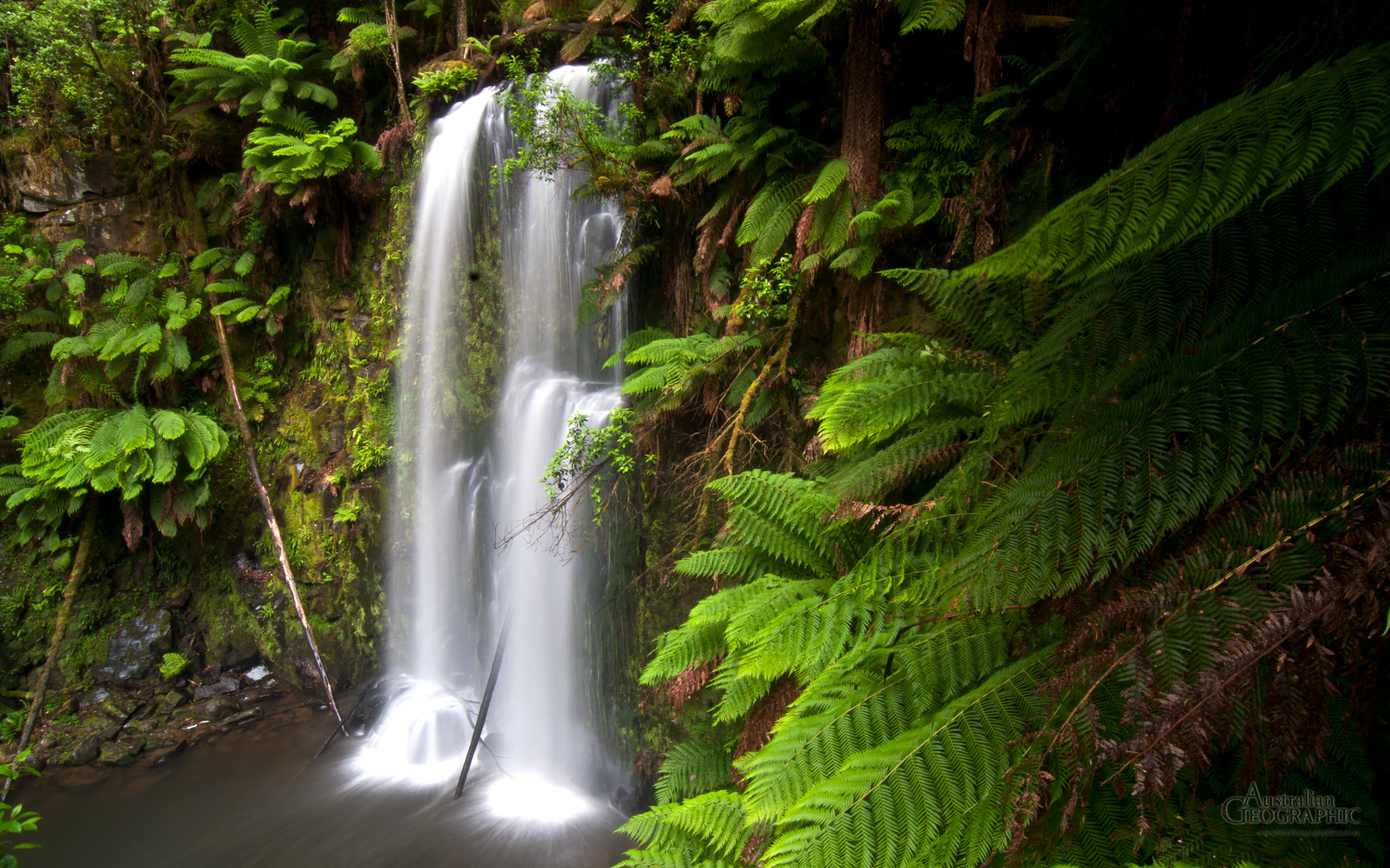 2560x1600 Wallpapers. Images of Australia: Beauchamp Falls, Otway Forest, Victoria