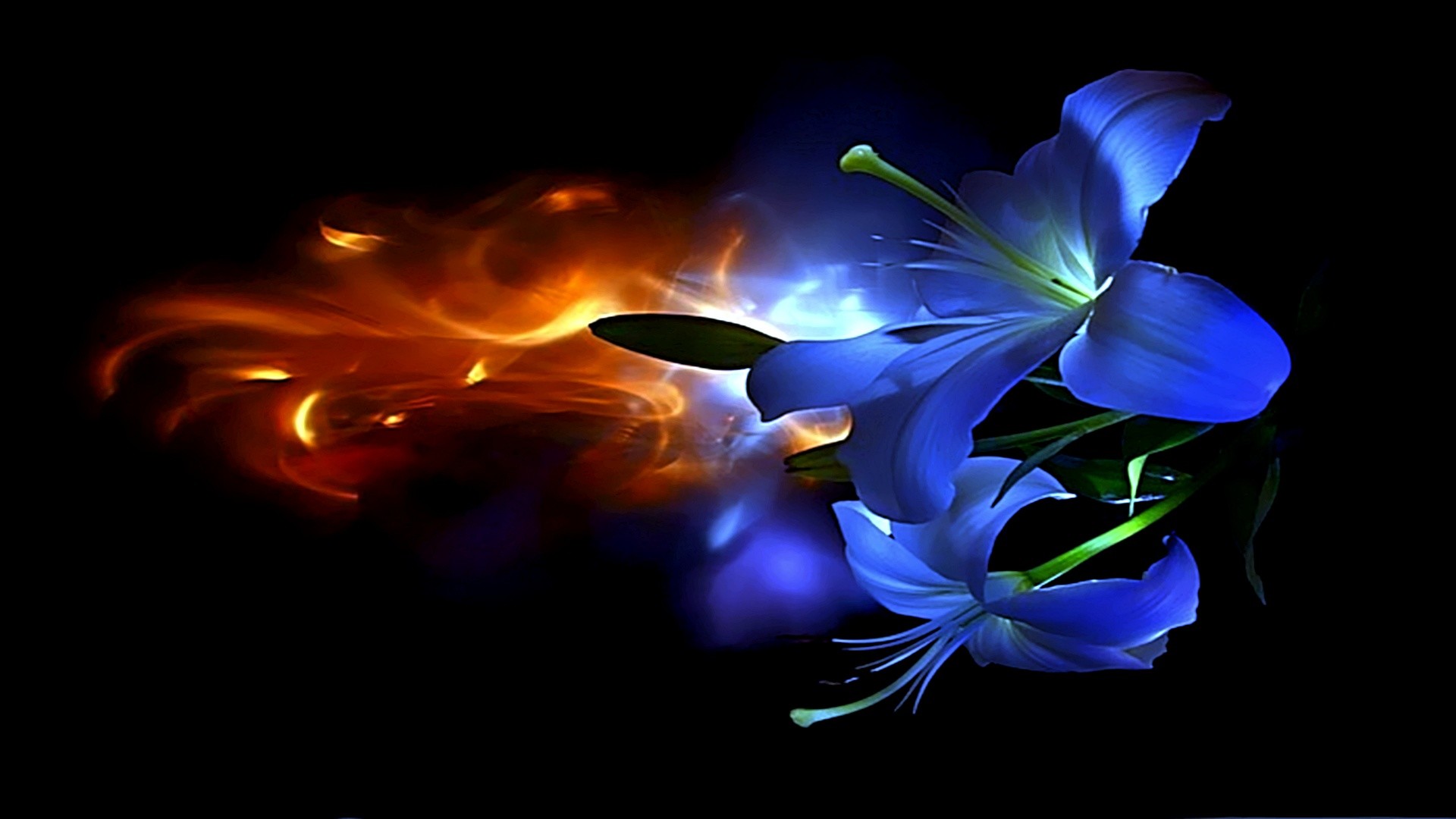 1920x1080 Abstract Flower 3D | Desire Love, abstract, beauty, caring, colorful, flower