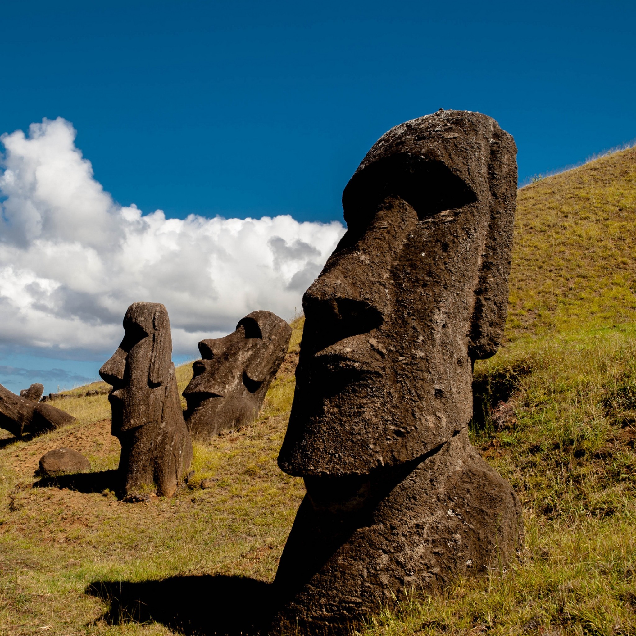 2048x2048  Wallpaper chile, easter island, rapa nui, moai, statue, carved  image