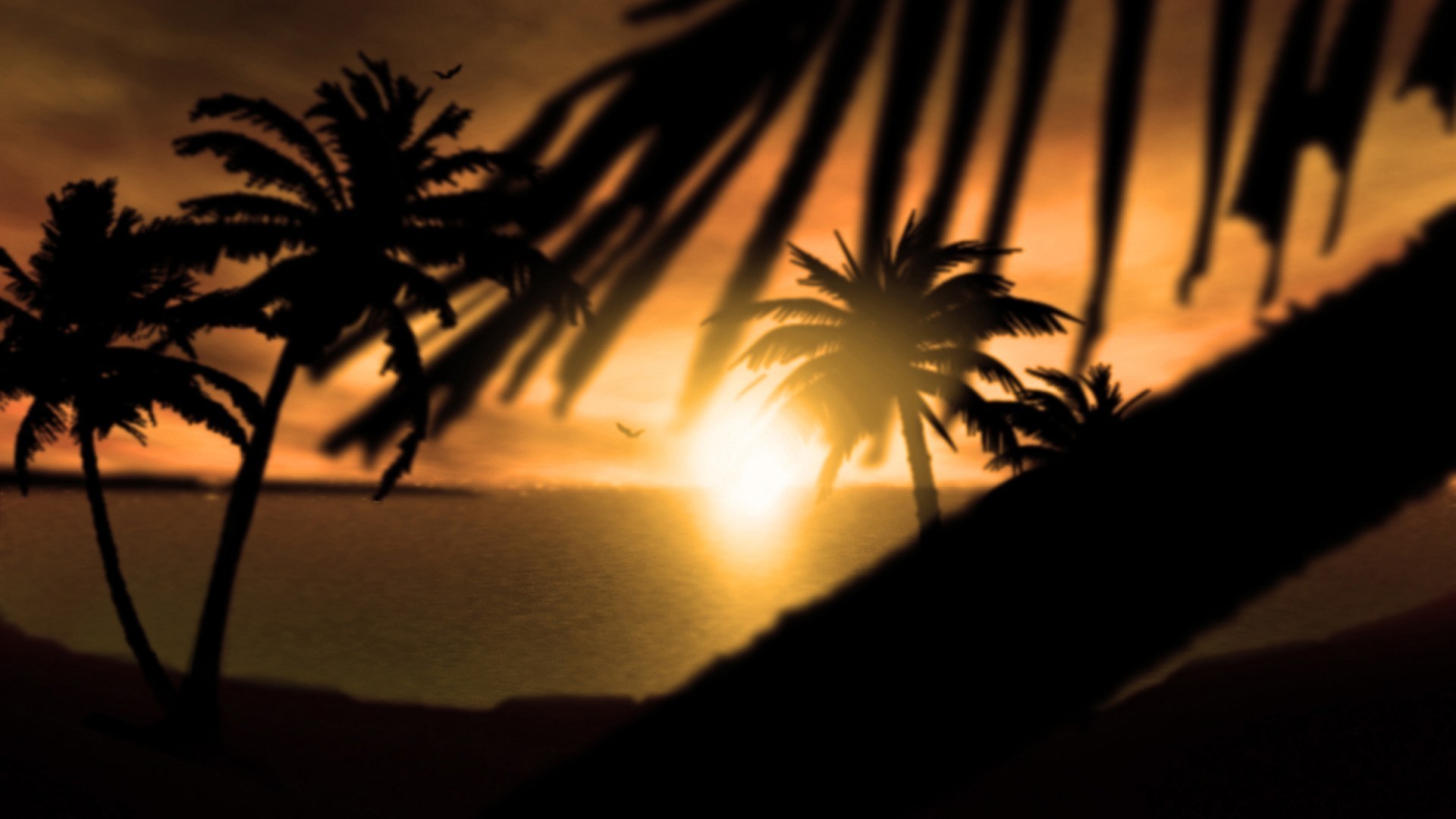 1920x1080 Sunset nature silhouette palm trees wallpaper
