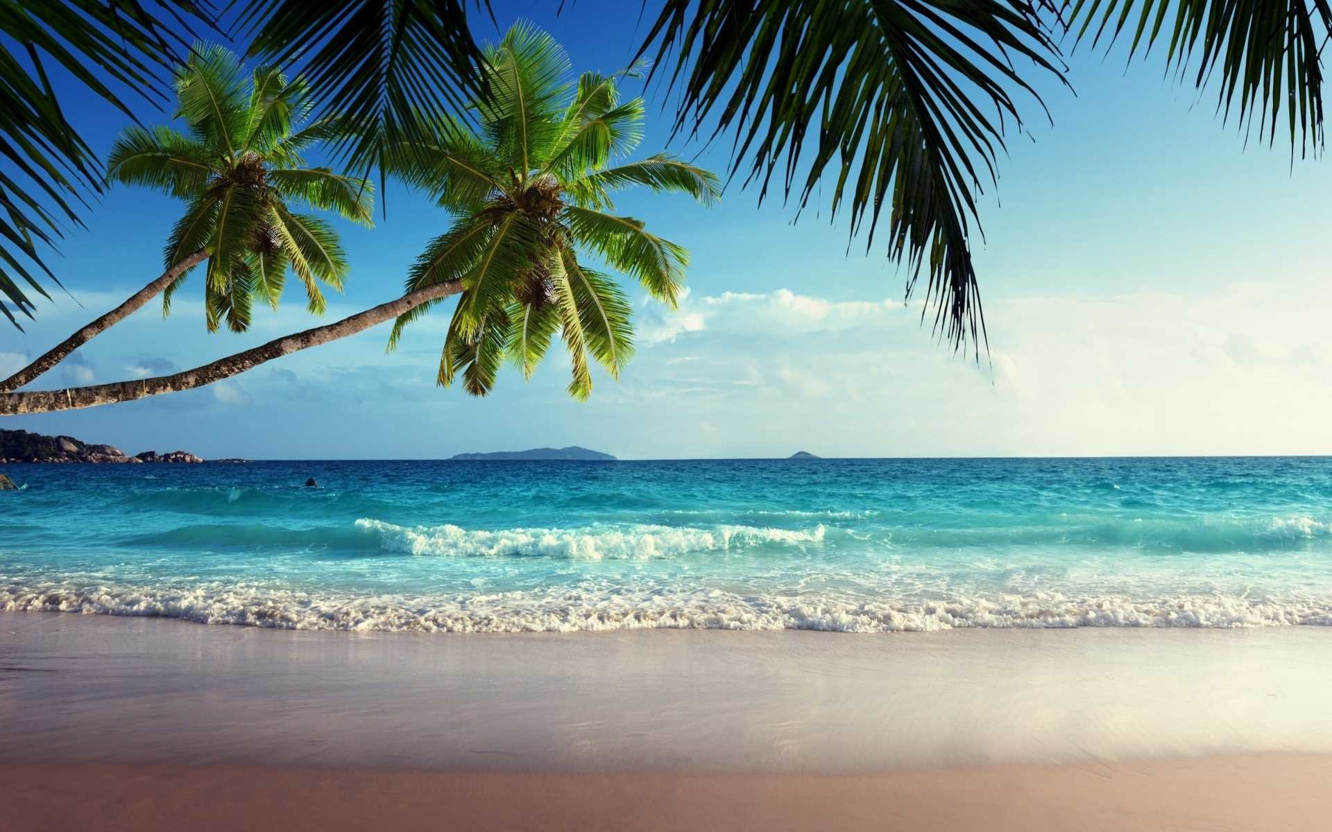 1920x1200  Tropical Wallpapers HD Group (79)