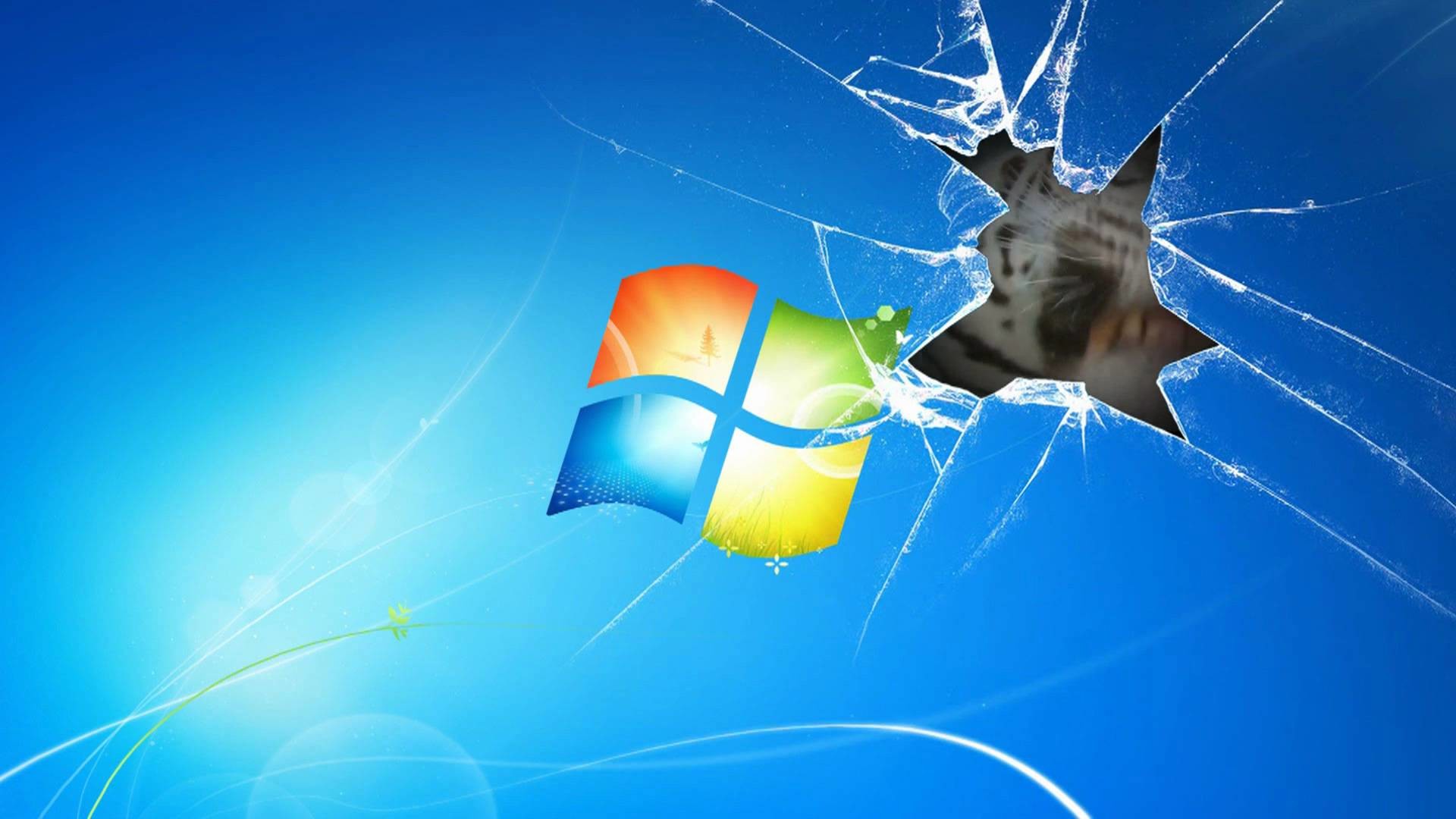 1920x1080 Windows 7 Wallpaper Animated Tiger on broken screen
