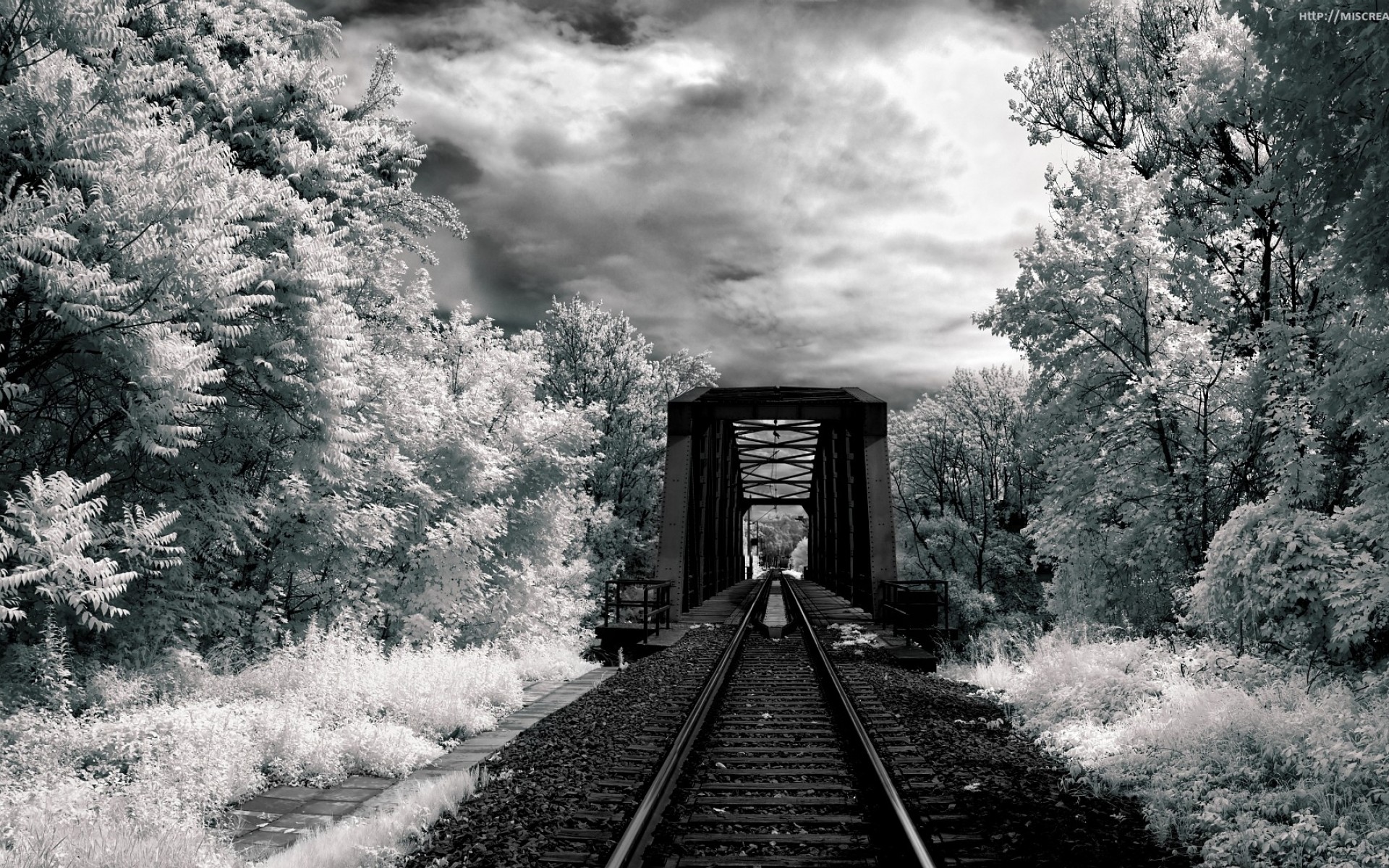 1920x1200 Photography - Black & White Monochrome Railroad Bridge Landscape Forest Sky  Cloud HDR Wallpaper