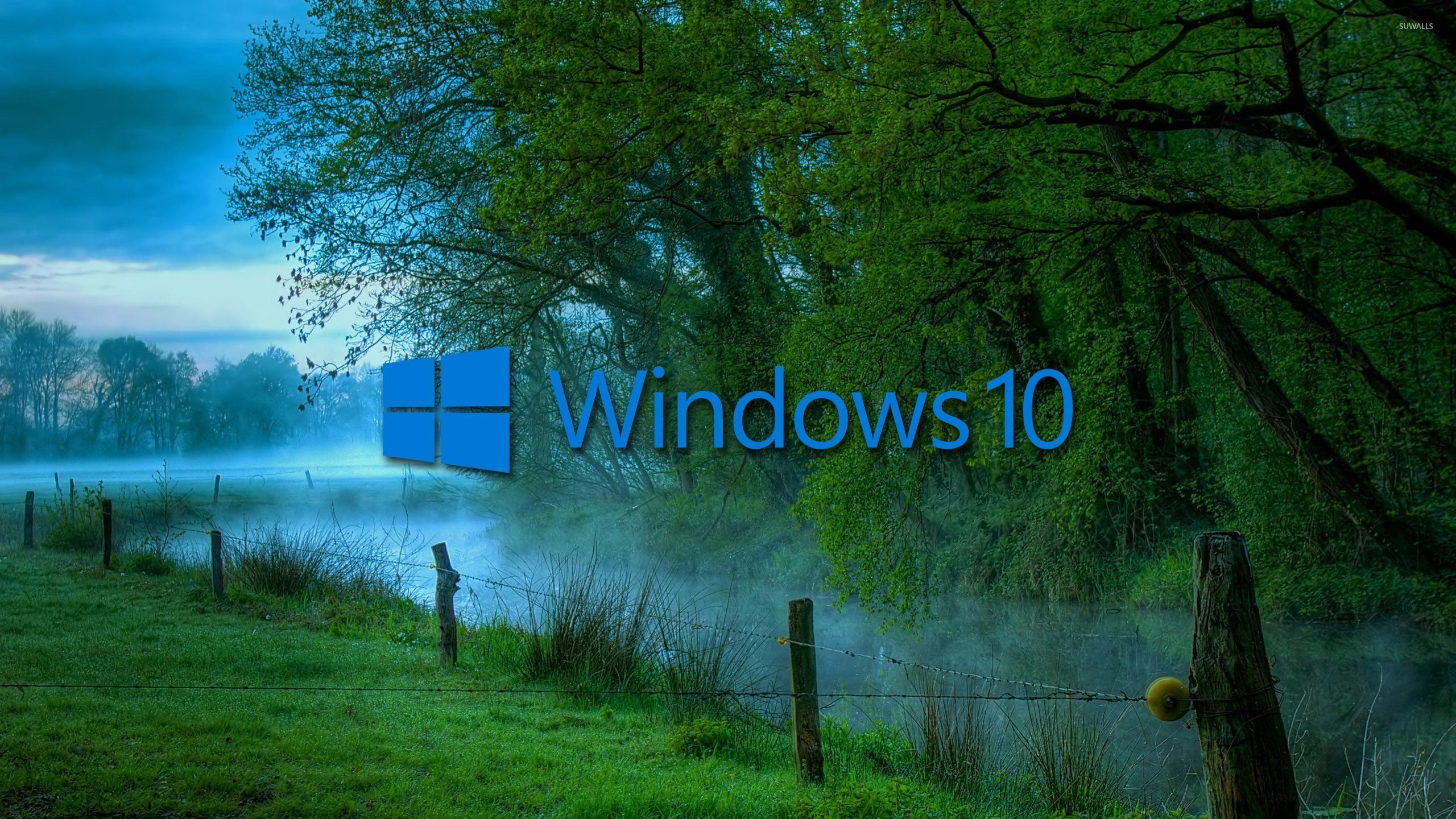 2560x1440 Windows 10 in the misty morning blue text logo wallpaper - Computer .