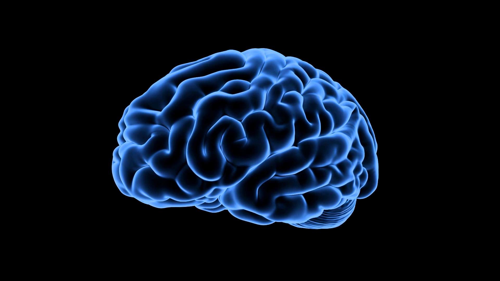 1920x1080 Royalty Free Medical Human Brain HD Footage - Brain ( Blue)360 Degree View  - YouTube