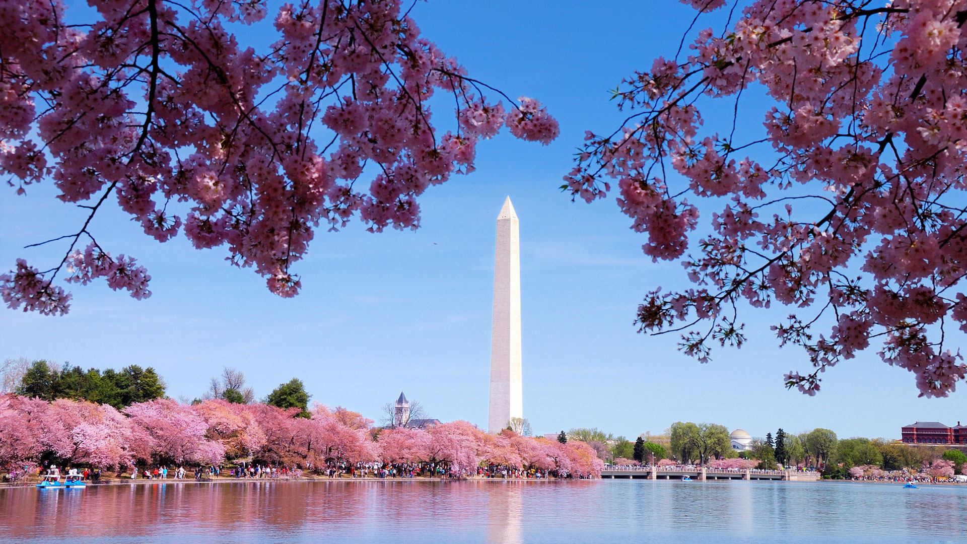 1920x1080 Best Places To Have a Date in Washington, D.C.