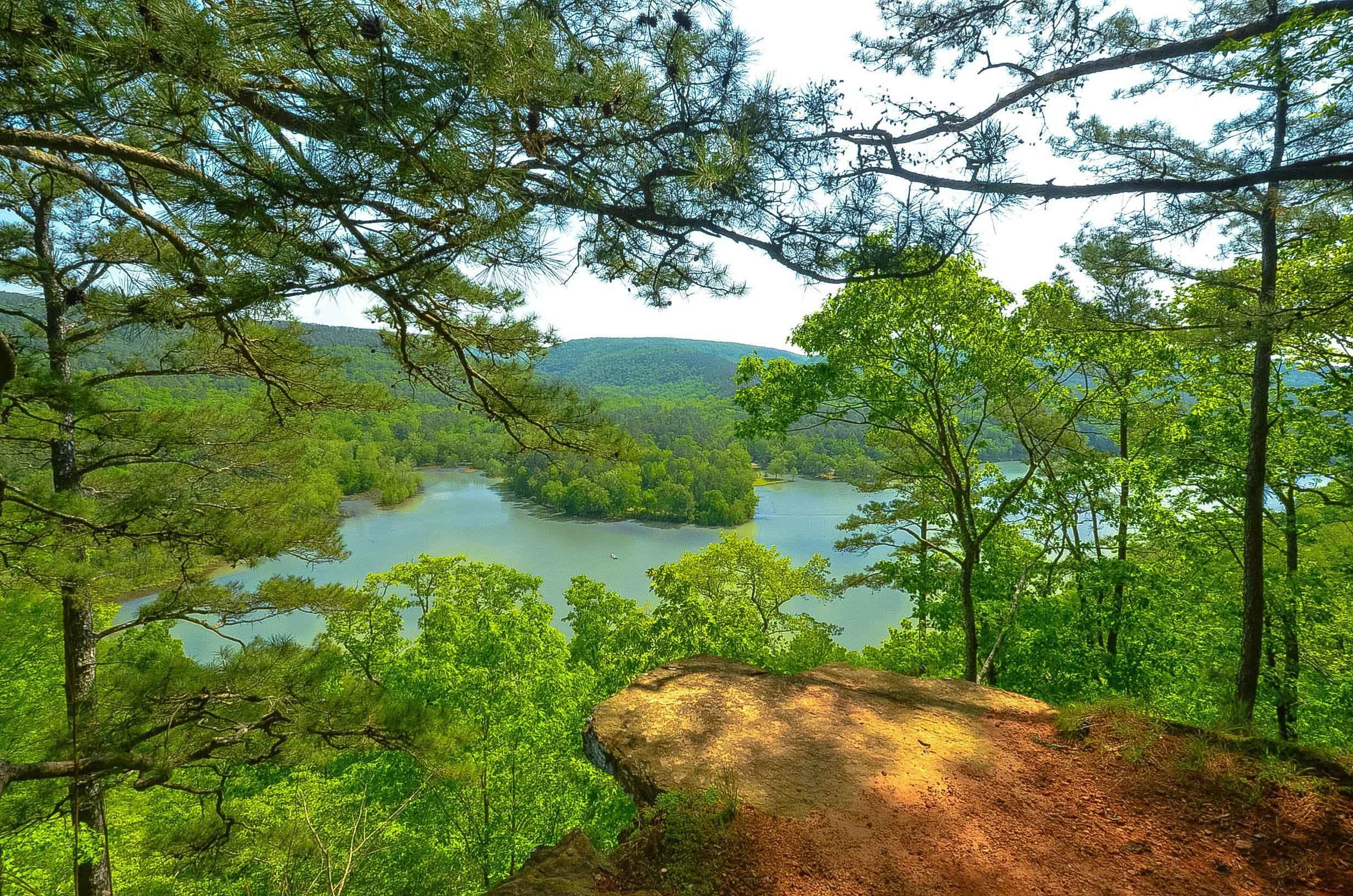 2464x1632 Rivers Arkansas Trees River Hills Landscape Nature HD Wallpapers 1080p  Download