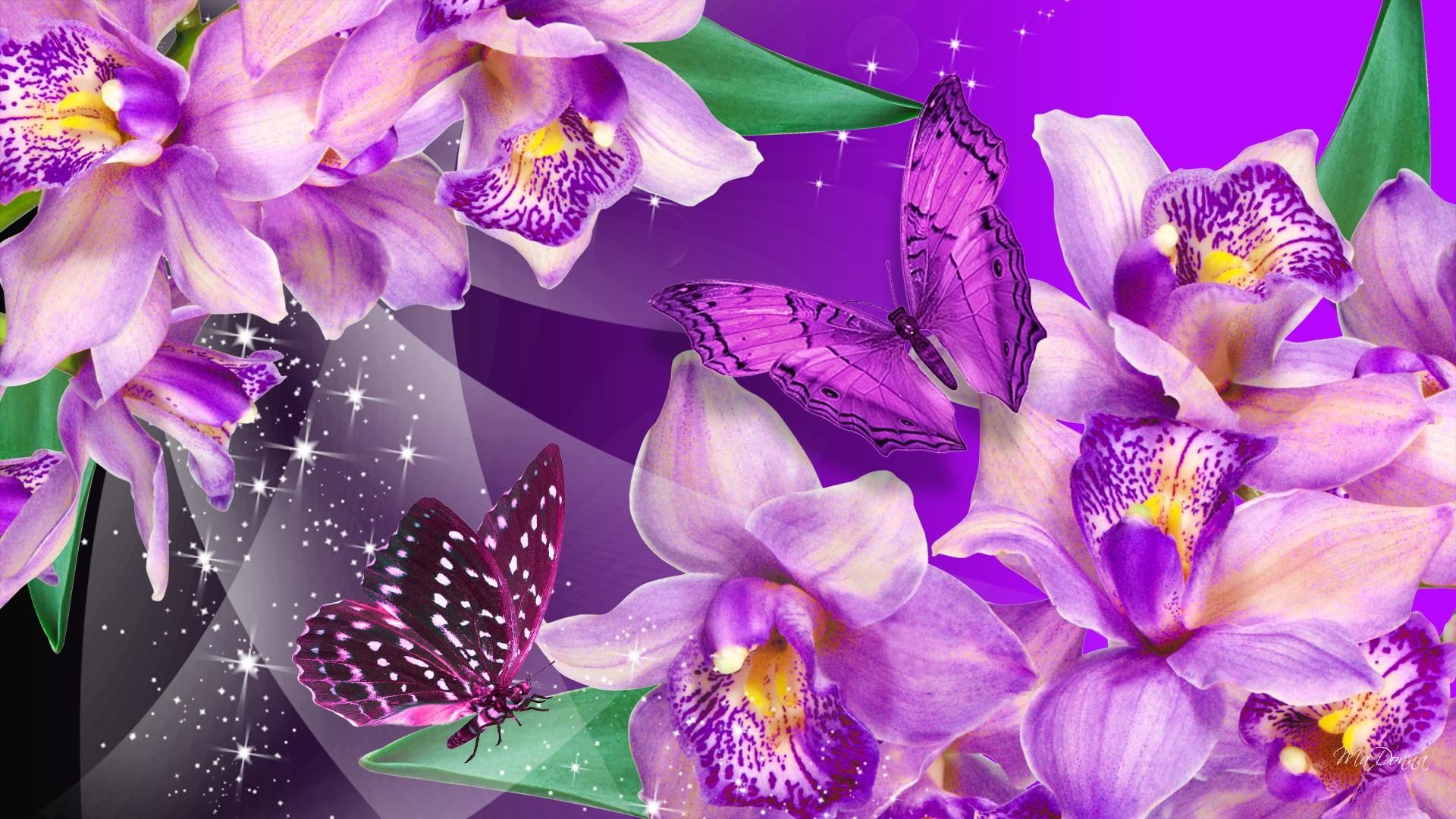 1920x1080 purple Butterfly are free to fly | HD Orchid Butterfly Dance Wallpaper