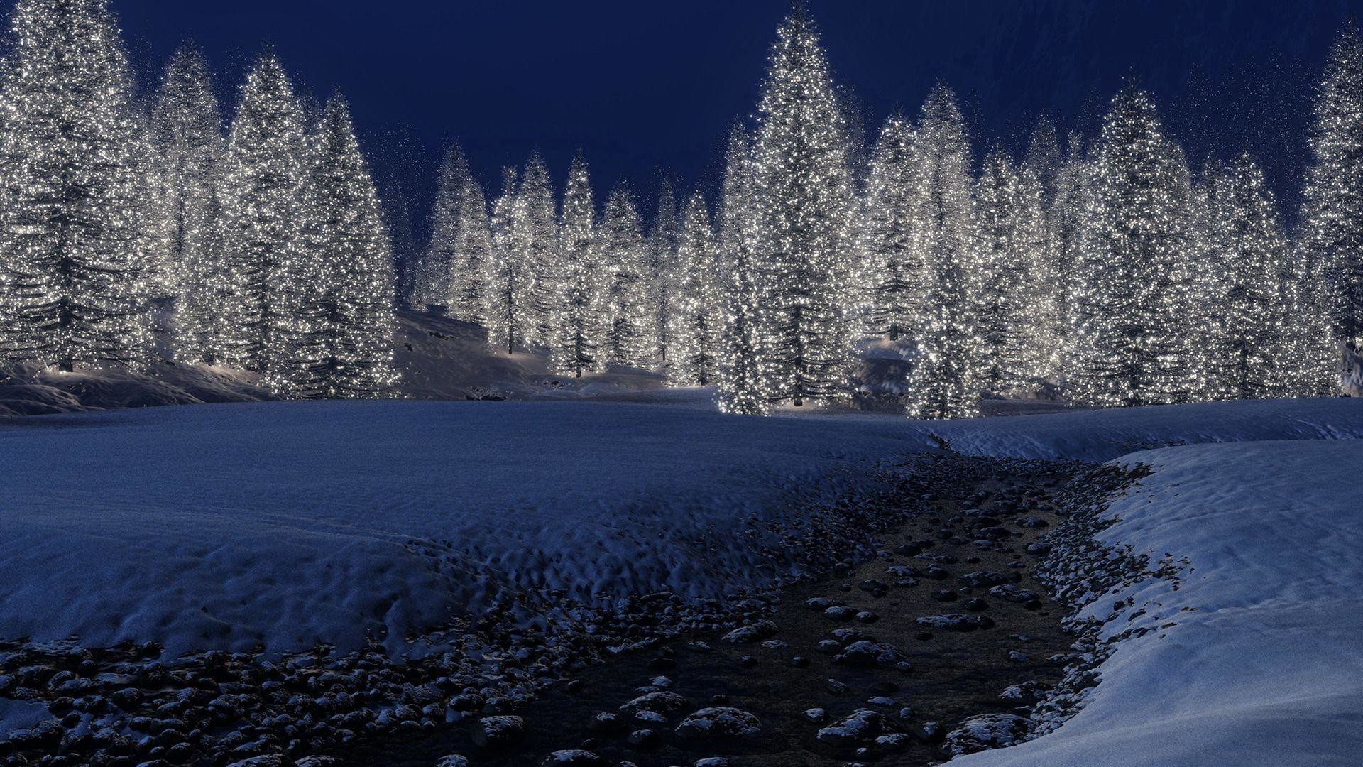 1920x1080 TheNatureHD.com :: Christmas Trees In Nature wallpapersThe Nature HD