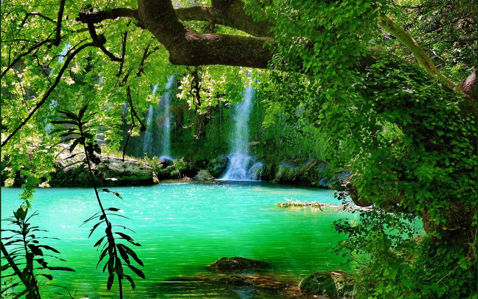 1920x1200 Forest Waterfall Background