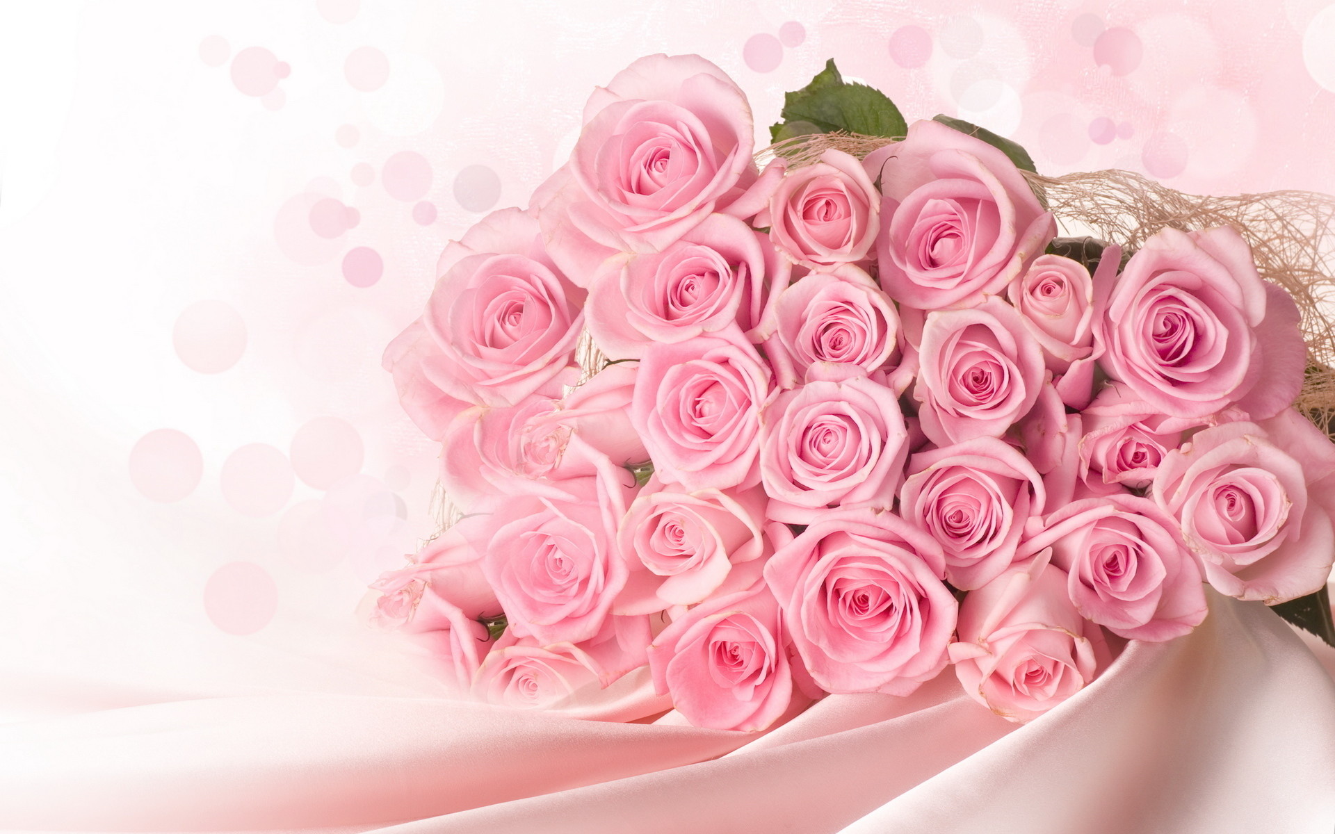 1920x1200 Pink Roses Background
