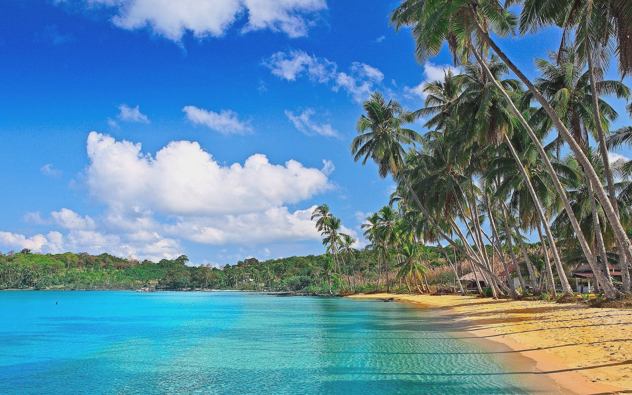 2560x1600 Wallpapers For Tropical Beach Desktop Wallpaper Â· Download