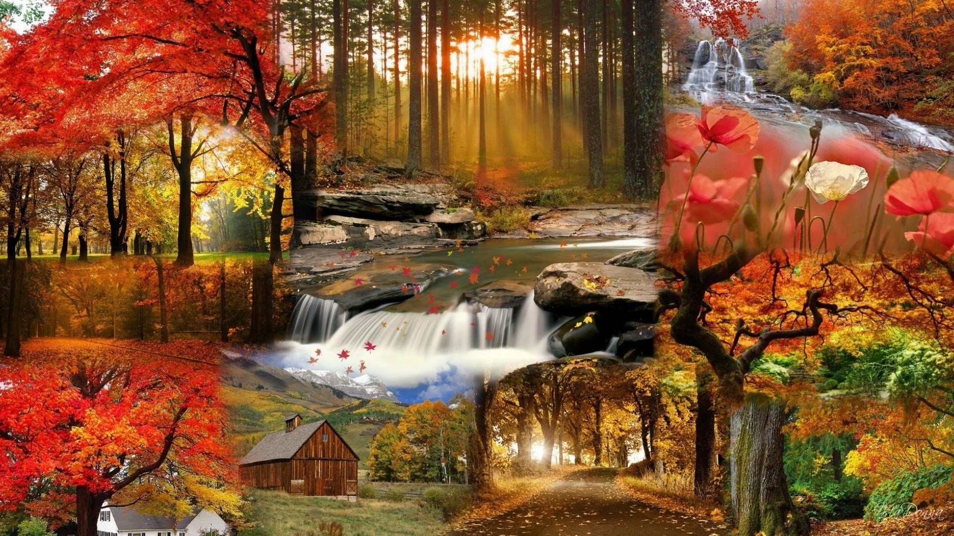 1920x1080 #1517900, fall category - free wallpaper and screensavers for fall