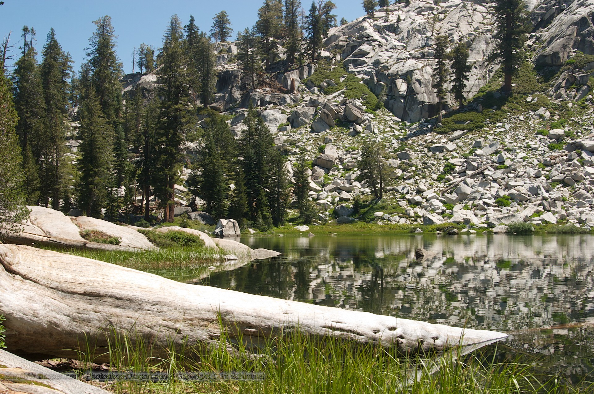 1920x1275 Quiet Pond in Sequoia National Park wallpaper - Click picture for high  resolution HD wallpaper