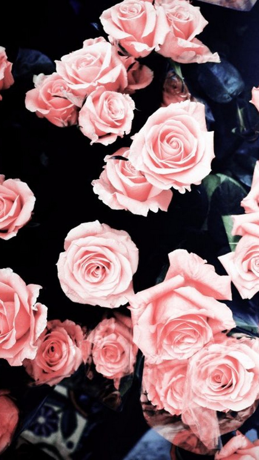 1080x1920 1920x1080 Flowers For > Pink Roses Wallpapers
