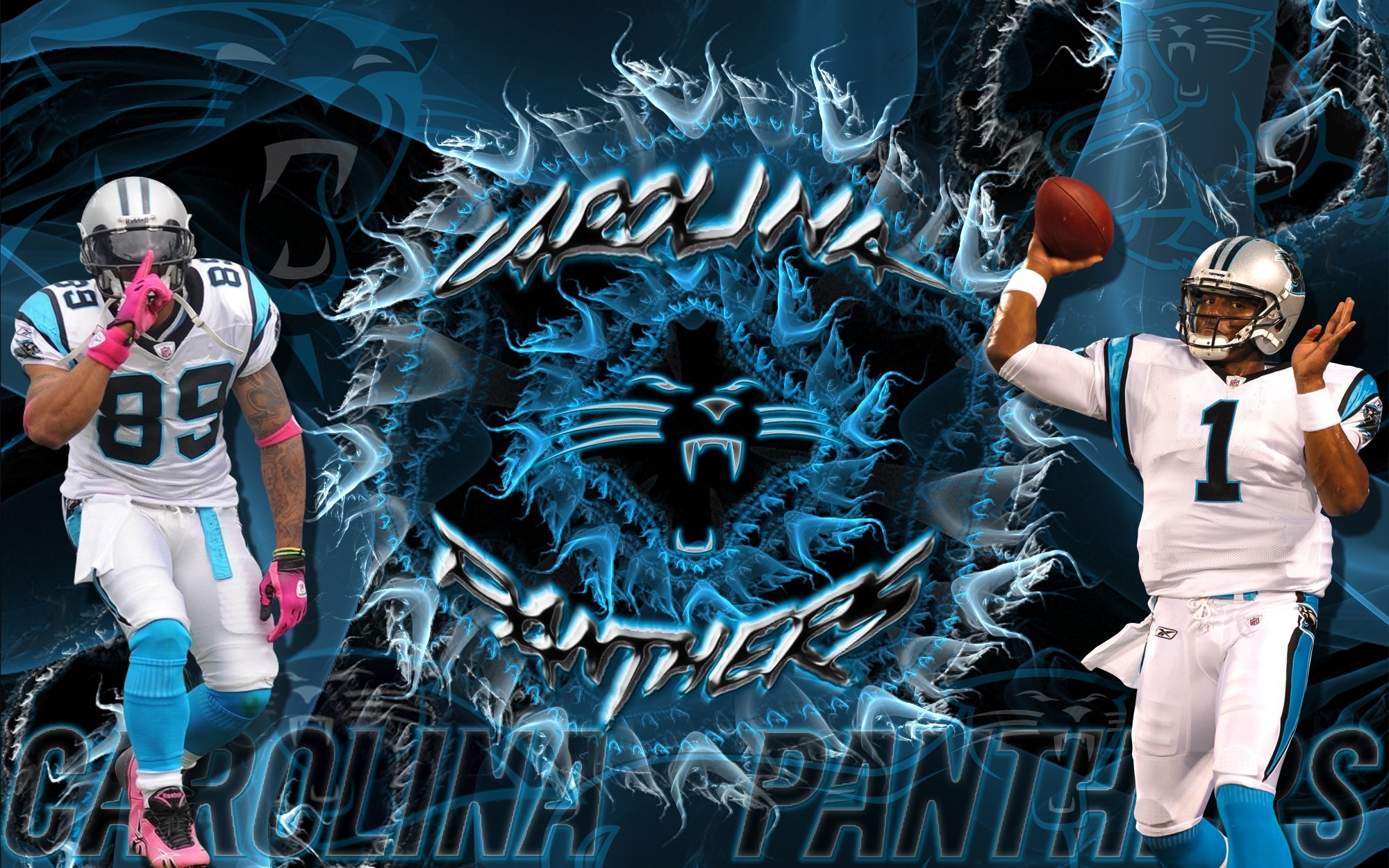 100 Carolina Panthers Logo Wallpapers  Wallpaperscom