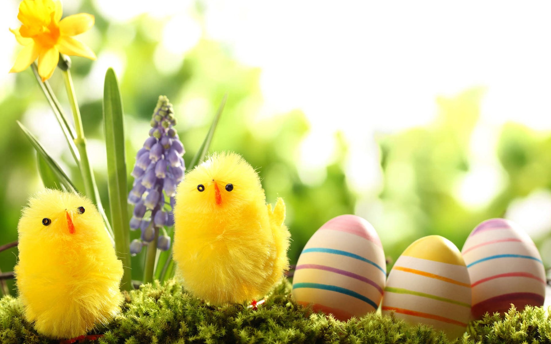 1920x1200 easter wallpaper - Background hd - easter category