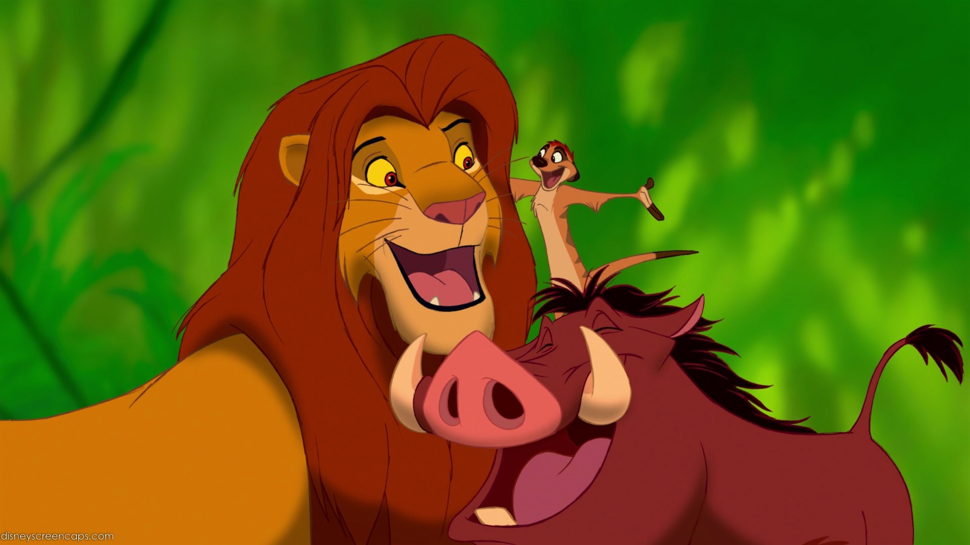 1920x1080 Timon And Pumbaa HD Wallpapers for desktop download