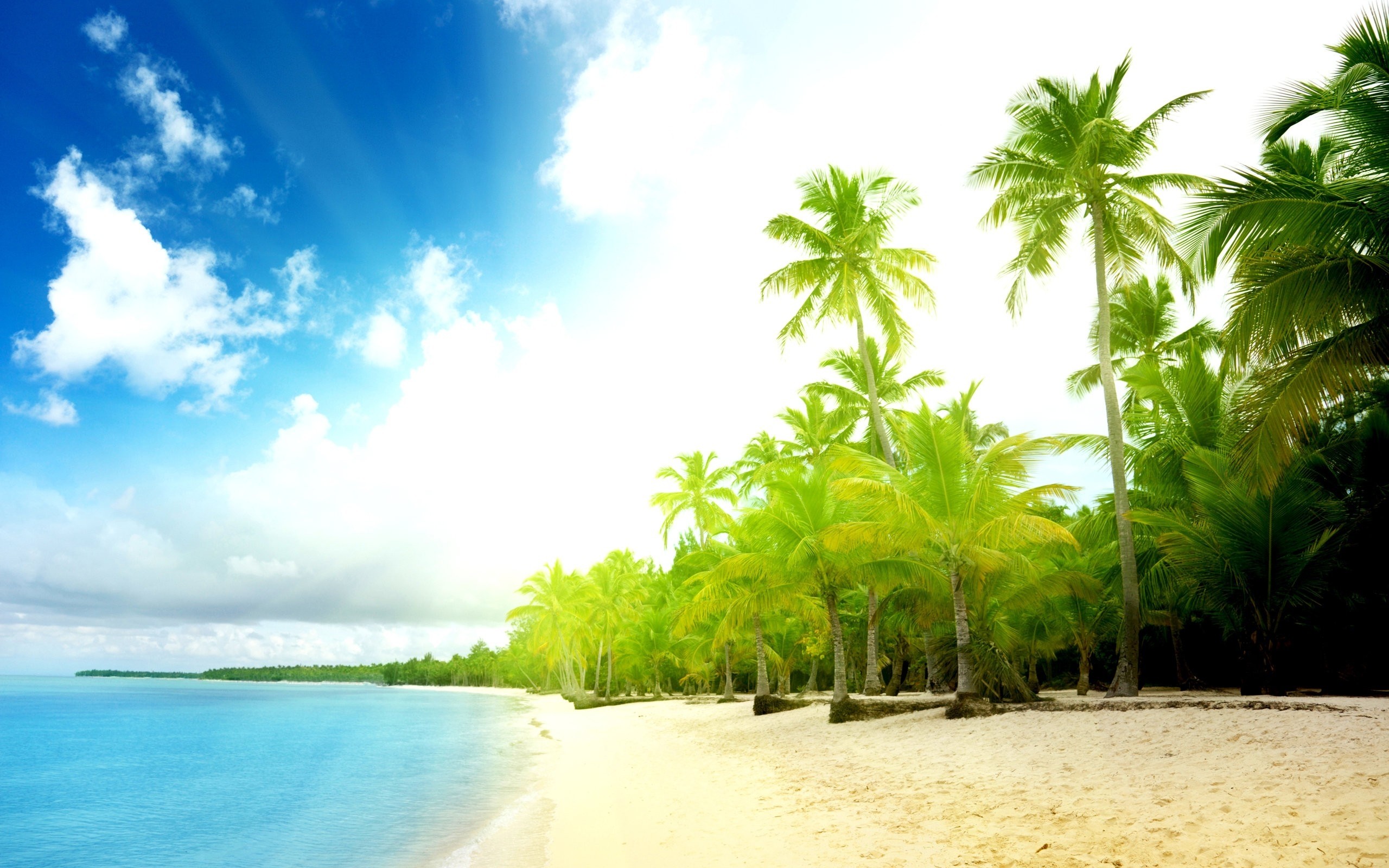 2560x1600 Explore Maldives Beach, Palm Beach and more!