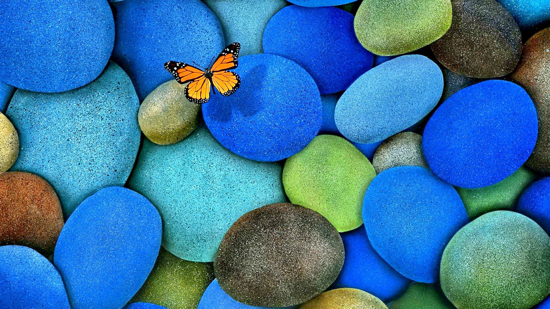 1920x1080 Butterfly Blue Beautiful Pretty Nature Splendo Things Colorful Rocks  Photography 3d Desktop Wallpapers - 