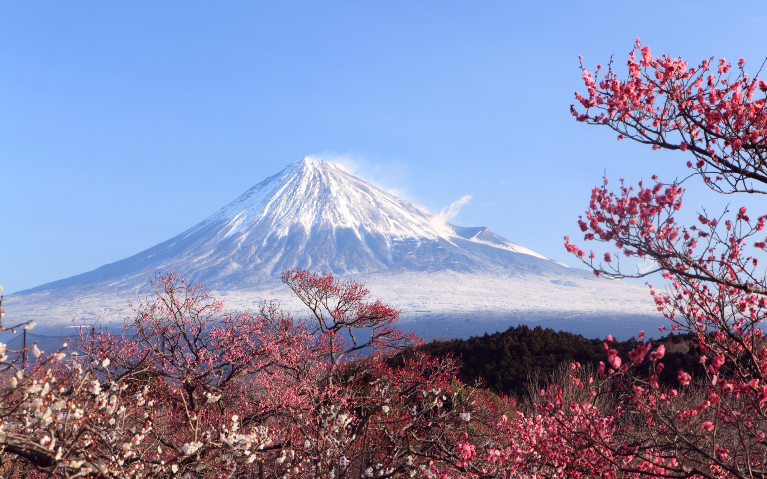 2560x1600 Mt Fuji Japan Wide Wallpaper 51289