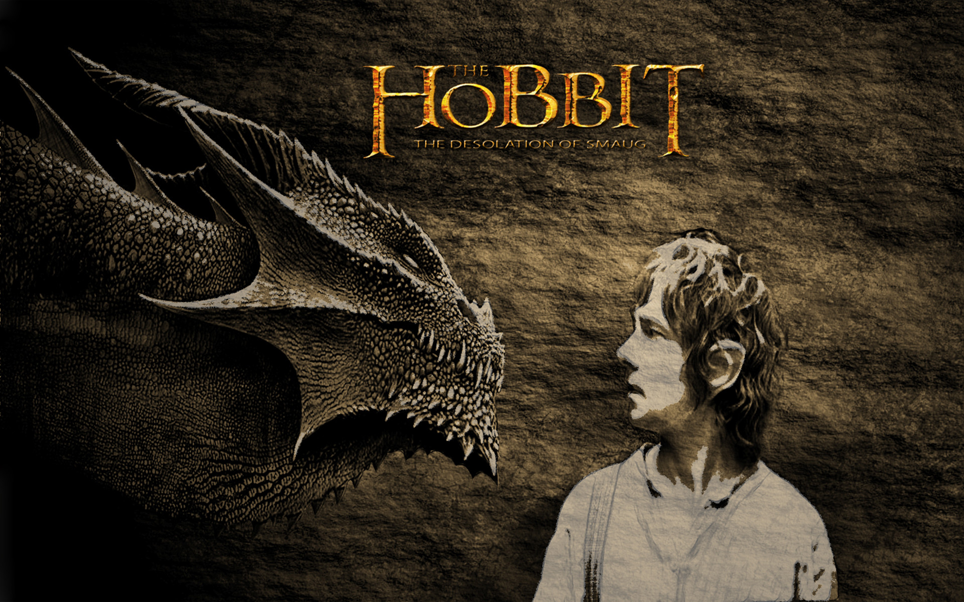 1920x1200 The Hobbit Desolation Of Smaug HD Wallpaper For Your PC Desktop .