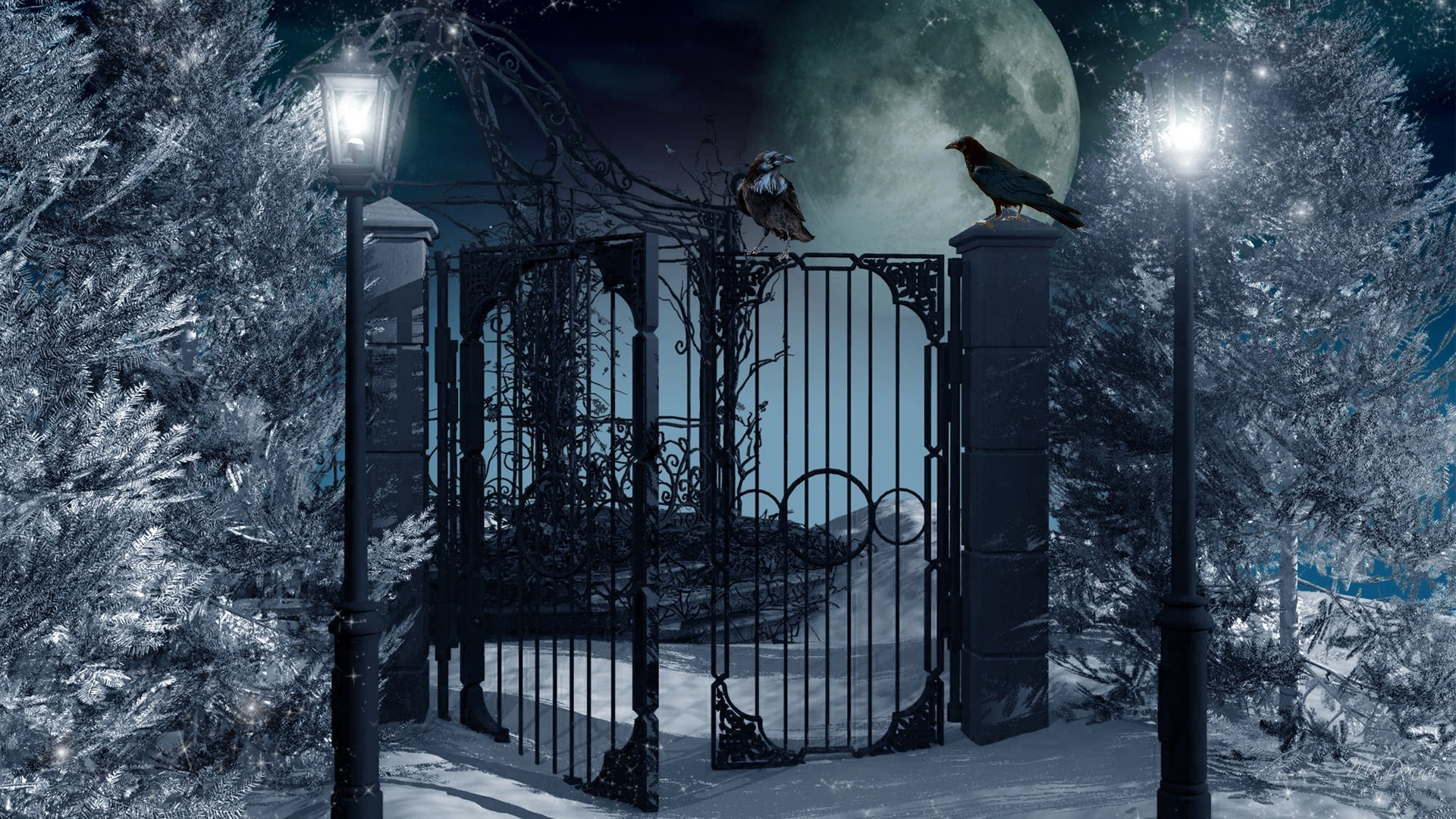1920x1080 Full Moon on Winter Night HD Wallpaper | Hintergrund |  |  ID:680455 - Wallpaper Abyss