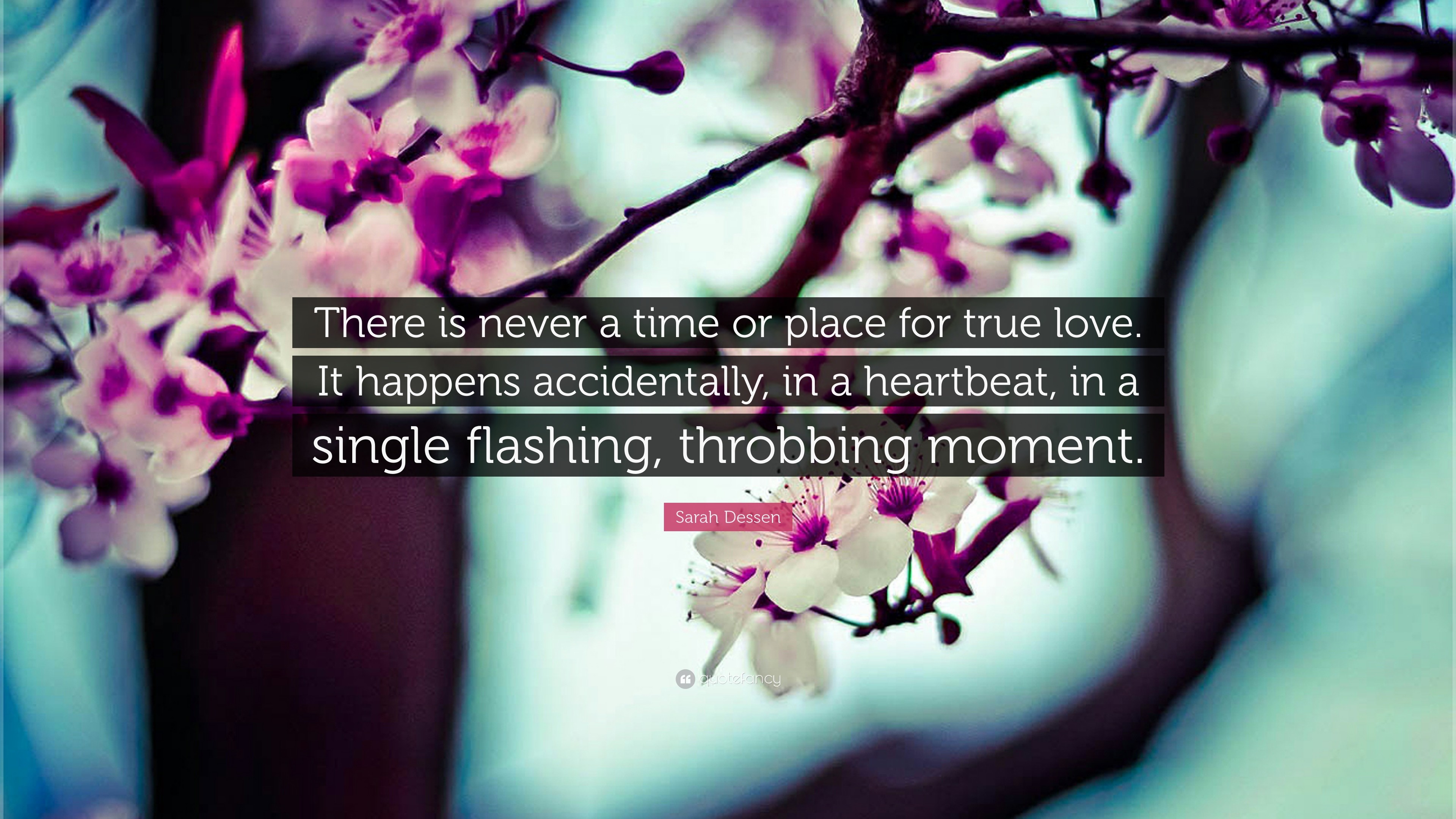 3840x2160 Sarah Dessen Quote: “There is never a time or place for true love.