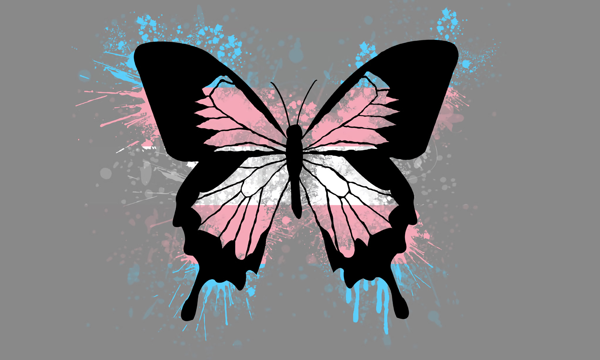 2046x1228 Transgender Butterfly [] ...