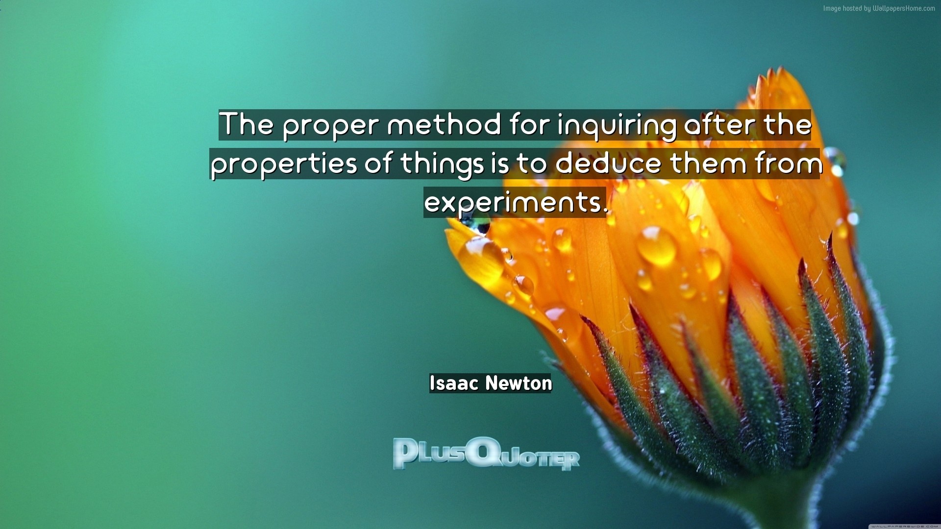 1920x1080 Download Wallpaper with inspirational Quotes- "The proper method for  inquiring after the properties of