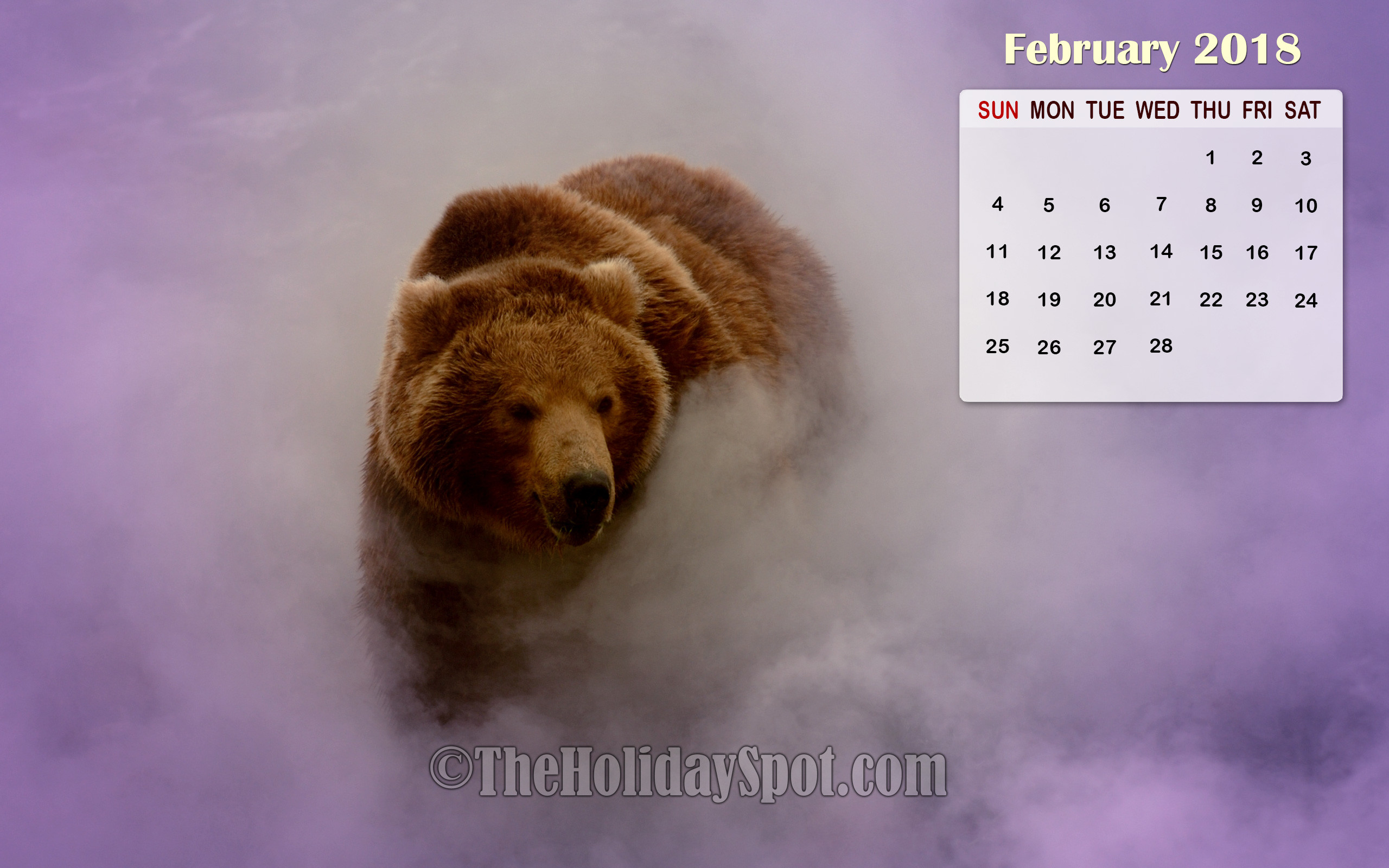 2560x1600 February 2018 Calendar Wallpaper of a bear