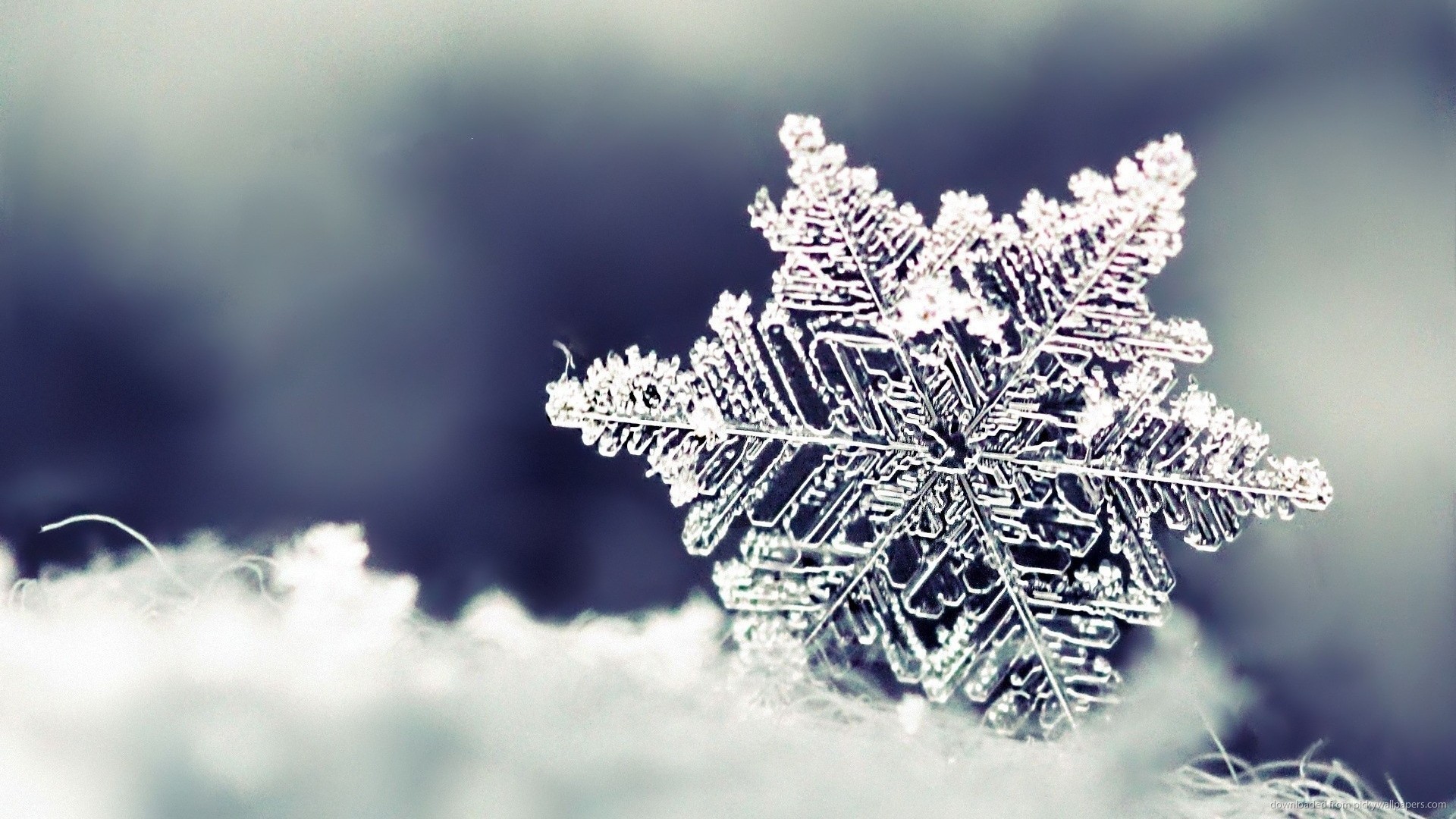 1920x1080 beautiful-crystal-snowflake-macro-hd-wallpaper-