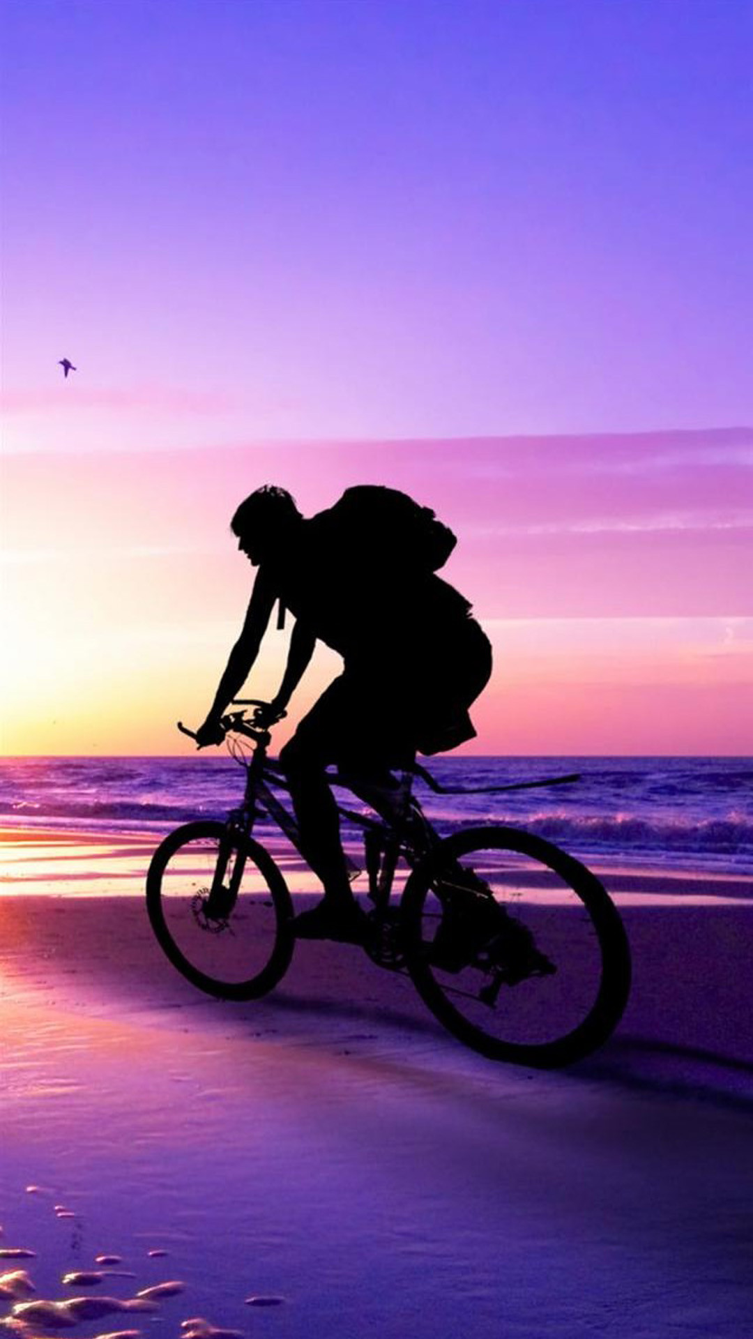1080x1920 Beach Sunset Bicycle Ride iPhone 6 Plus hd Wallpaper