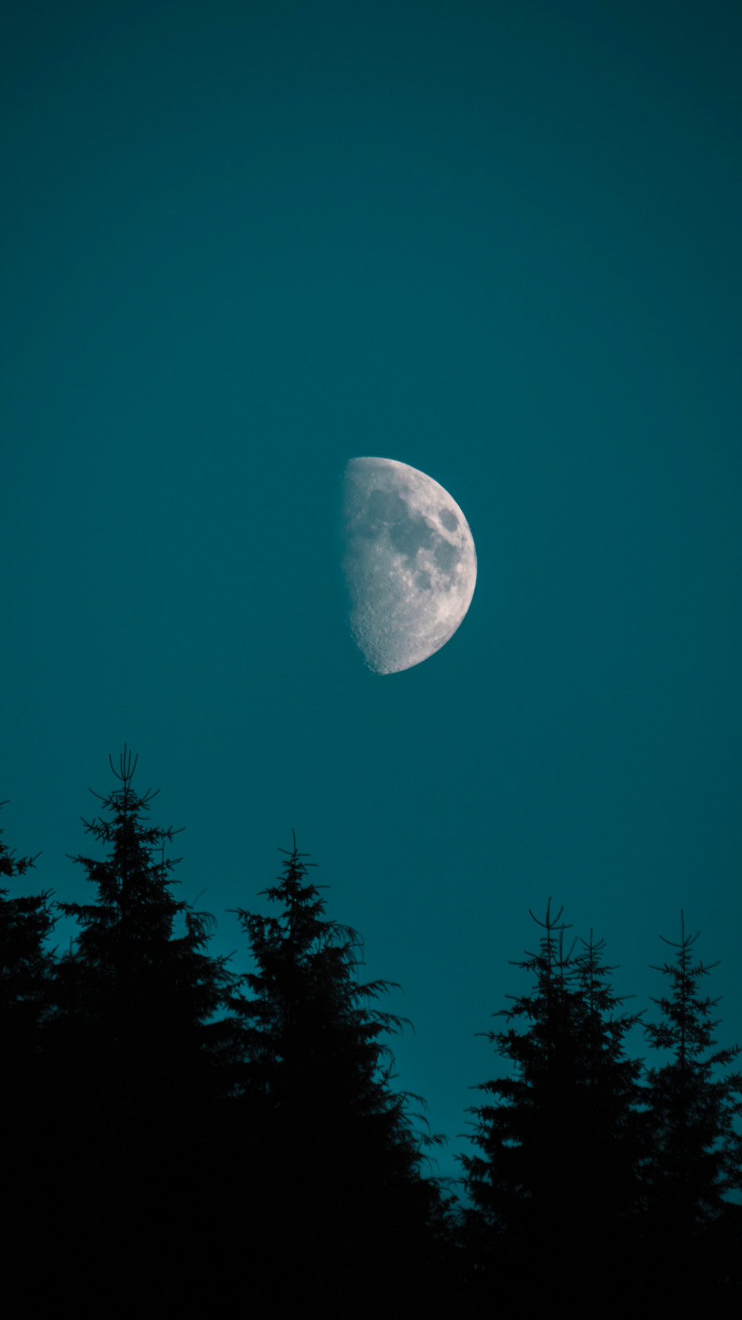 1080x1920 iPhone WallpaperHalf Moon Over Pine Moon