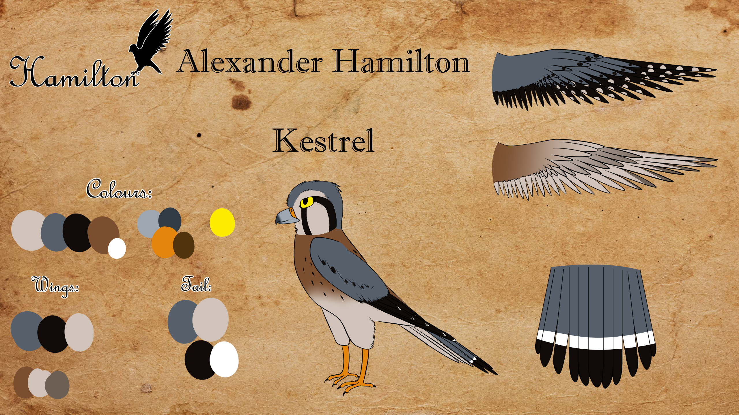 2560x1440 Ref Sheet by lunarxCloud Alexander Hamilton .:Bird:. Ref Sheet by  lunarxCloud