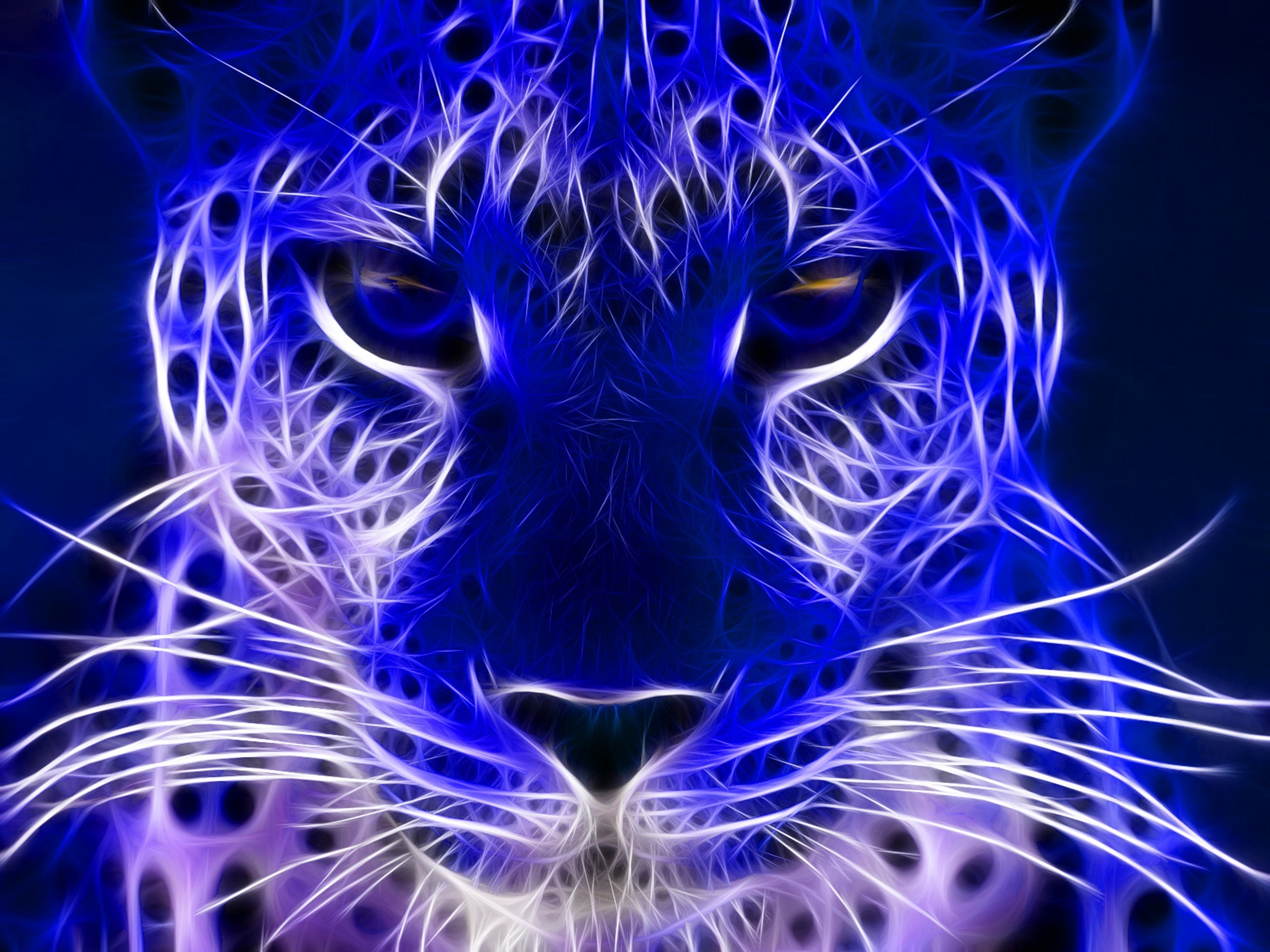 2560x1920 Wild Animals Blue Cheetah Cat Cats Hd Jootix 857075 | HD Desktop .