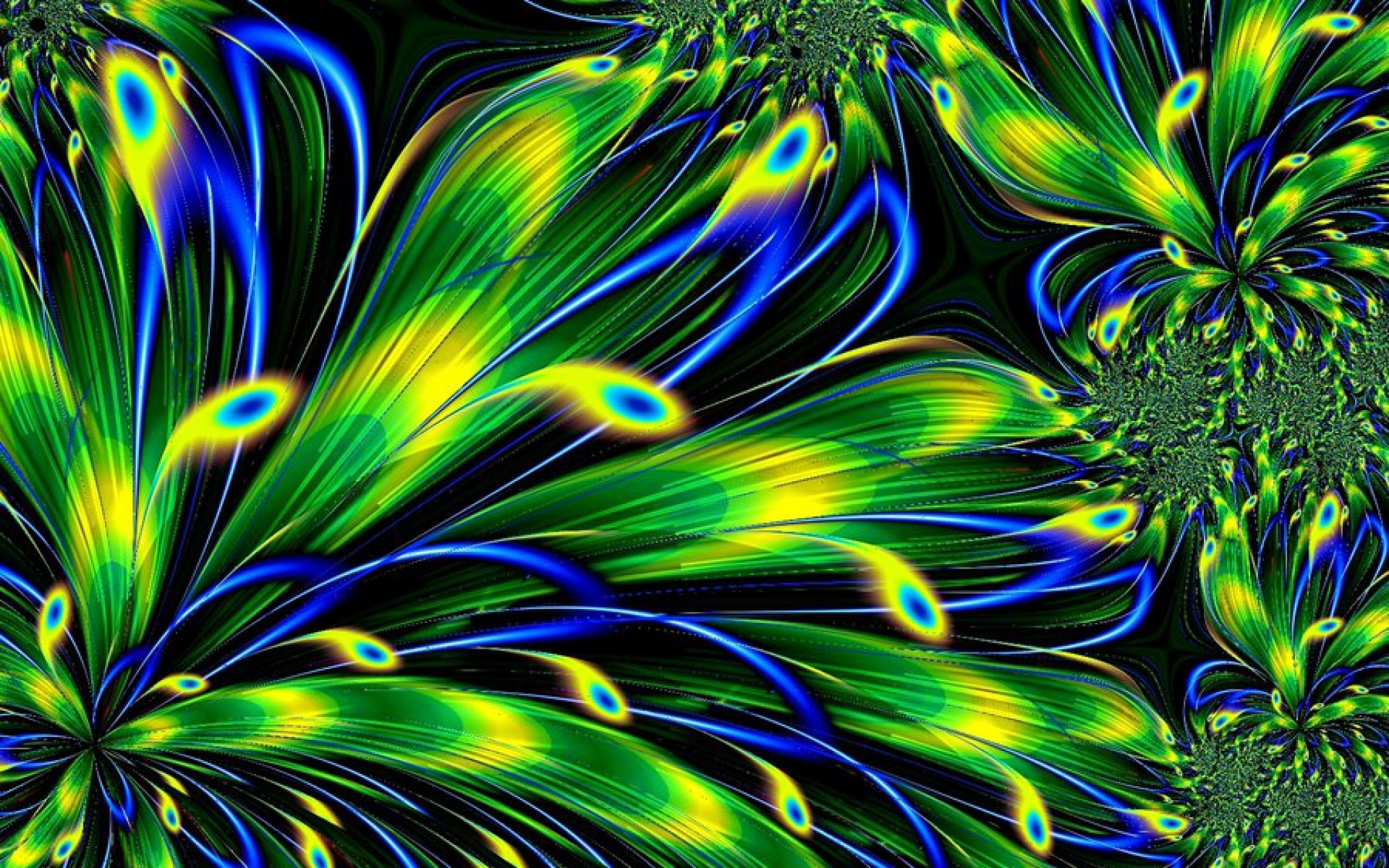 1920x1200 GKO.166 Peacock Feather 2089.22 Kb - HD Wallpapers