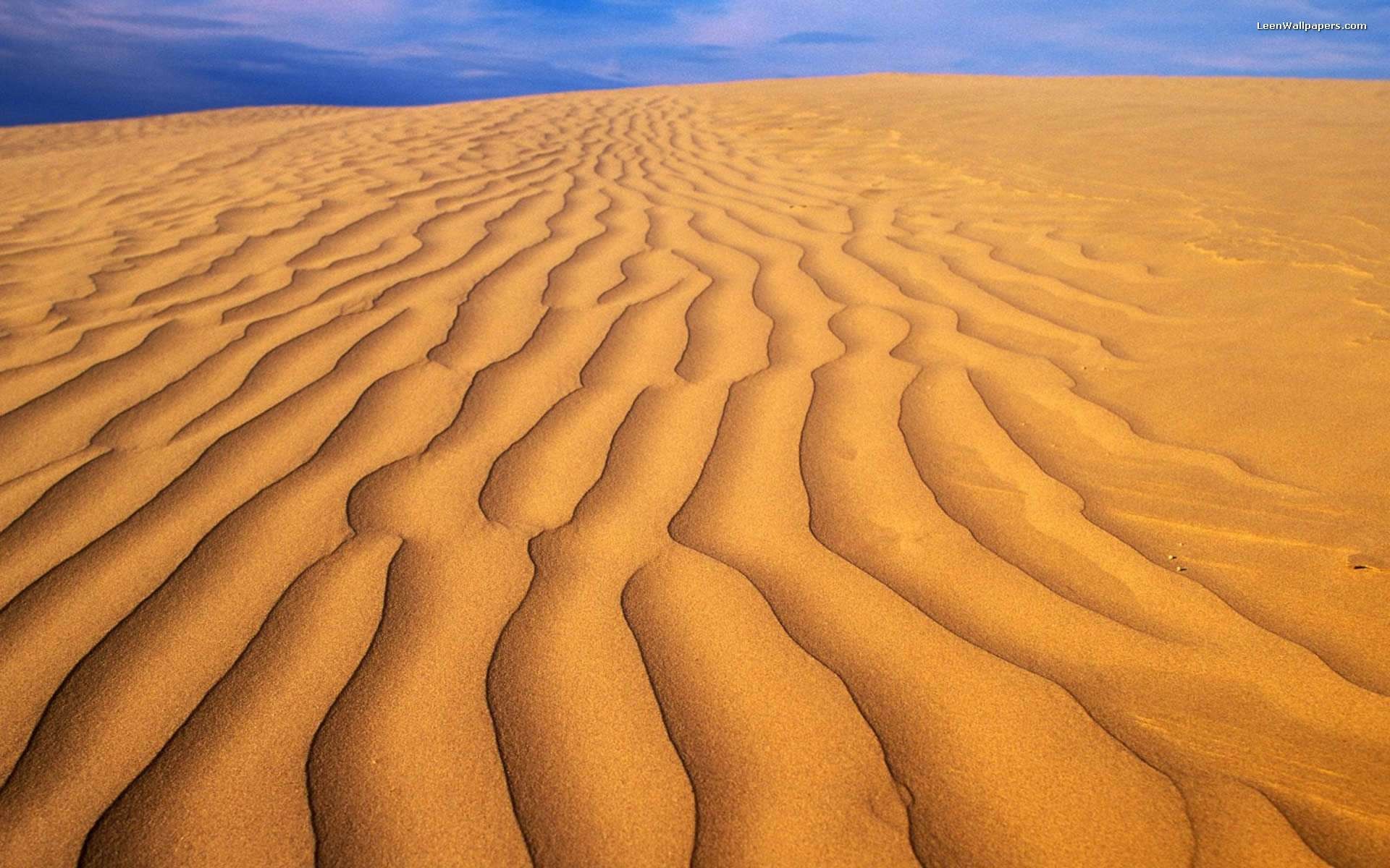 1920x1200 Desert Sand Background