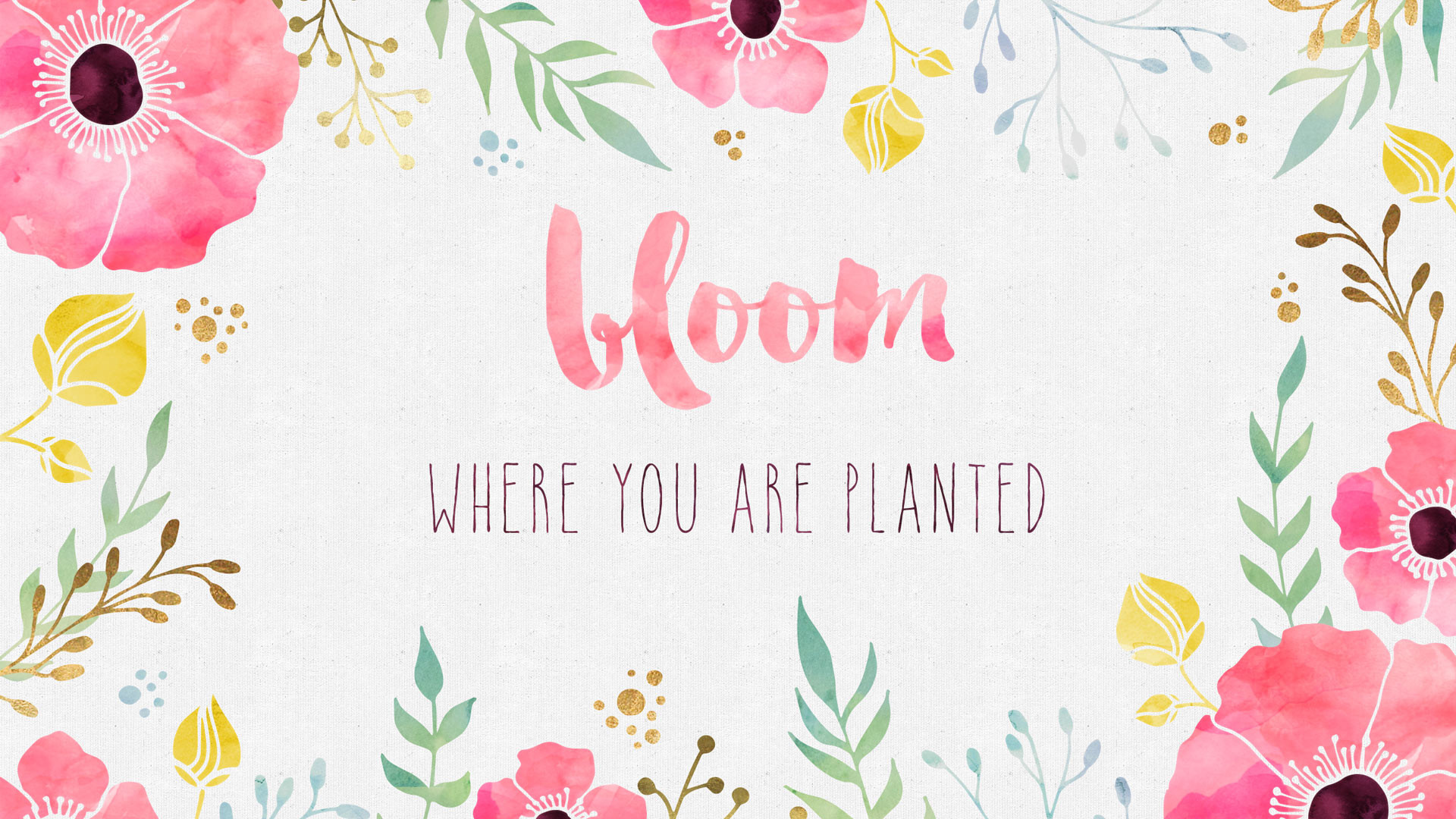1920x1080 Free Desktop Wallpaper – Bloom Where you are Planted