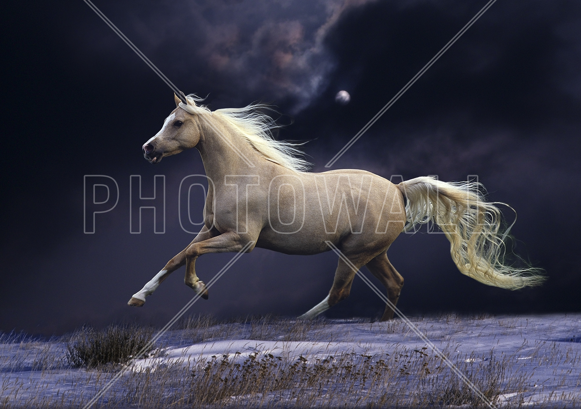2000x1406 ... Moonlight Horses - Horses & Animals Background Wallpapers on .
