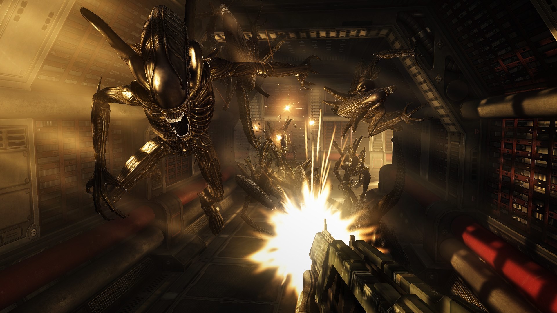 1920x1080 aliens colonial marines : Full HD Pictures 