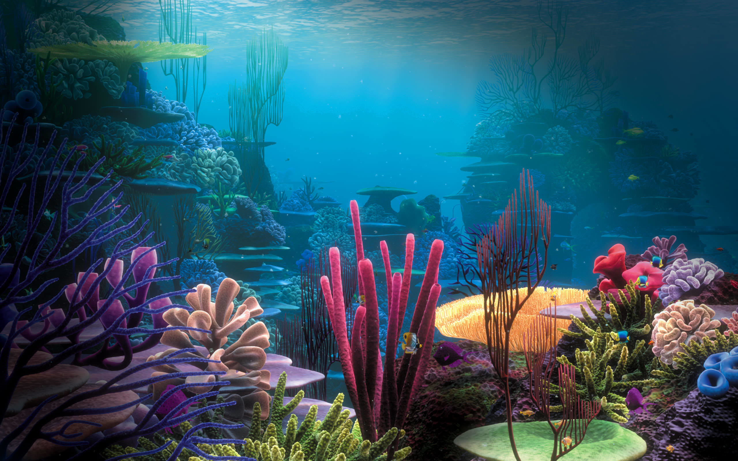 2560x1600 Underwater Scene Wallpaper 