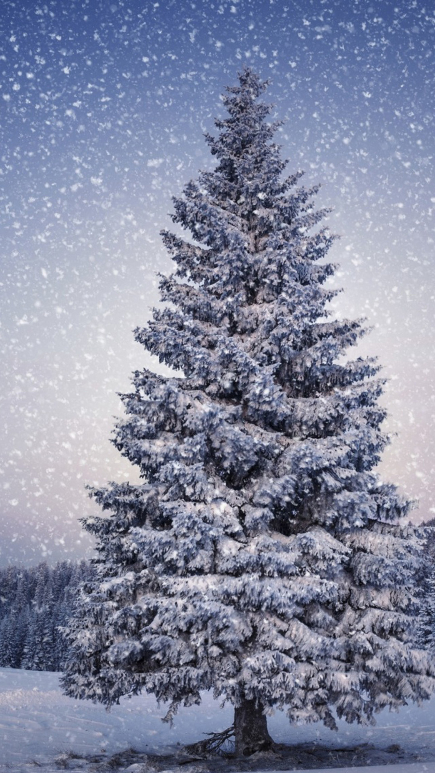 1440x2560 Christmas Tree Snow LG G3 Wallpapers