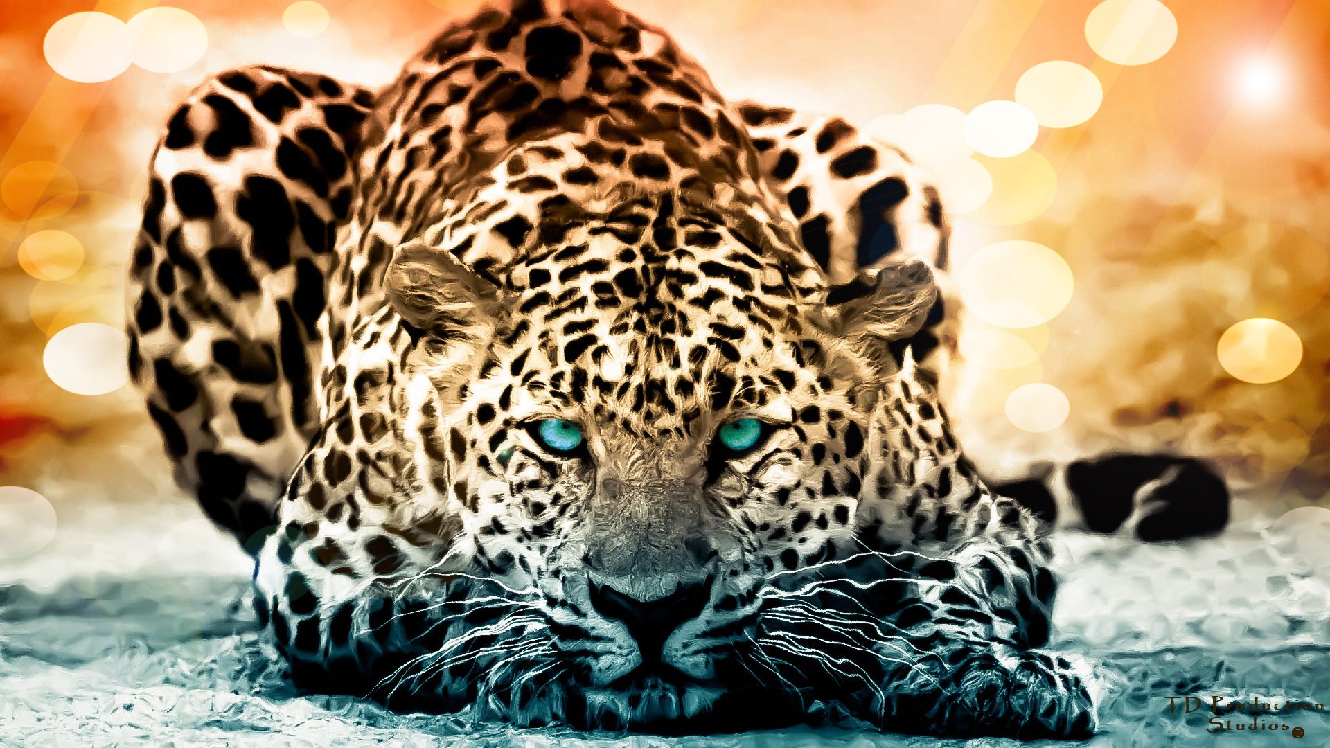 1920x1080 Cool Wild Animal Wallpapers High Resolution