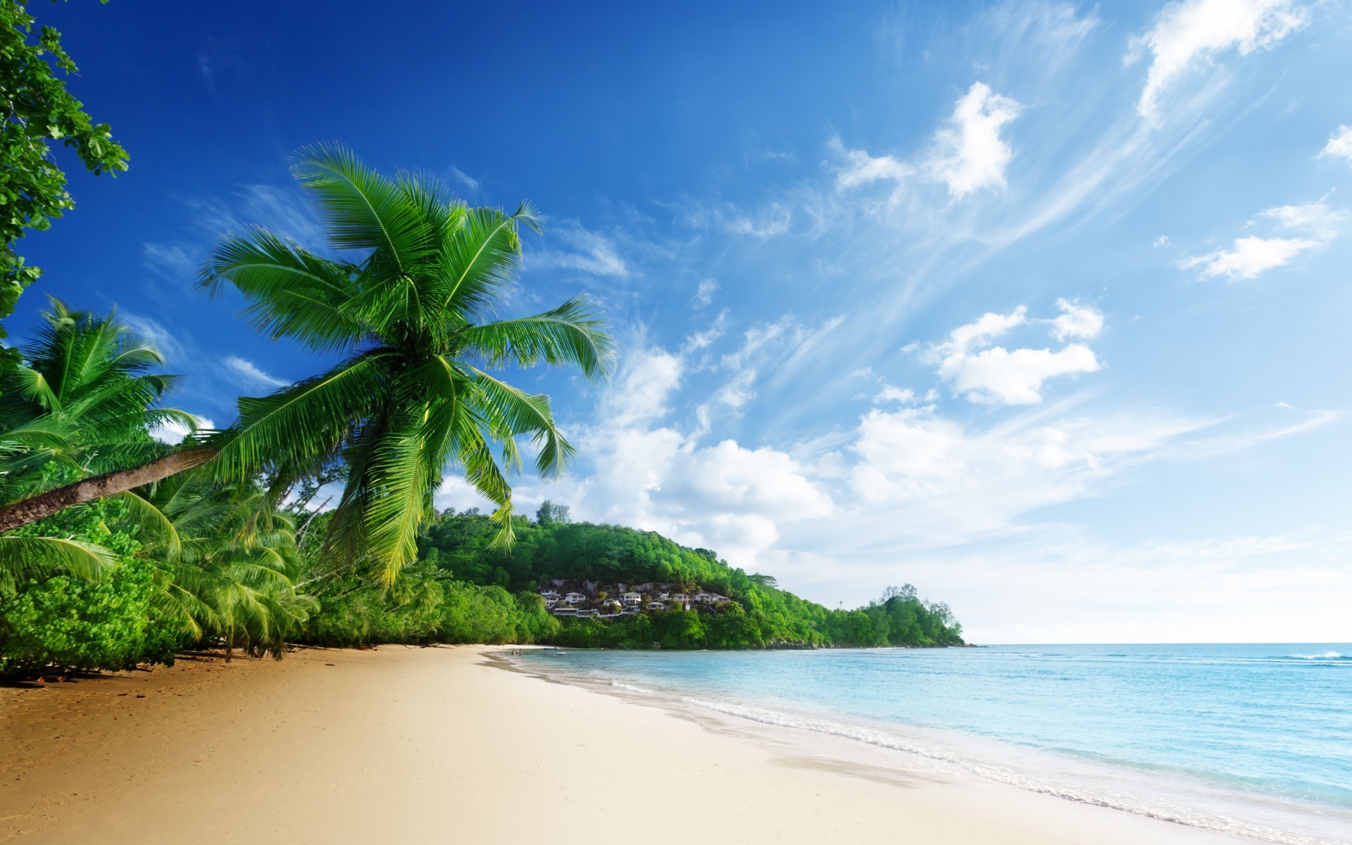 1920x1200 Nature scenery sea beach sky clouds palm trees ocean tropical wallpaper |   | 71549 | WallpaperUP