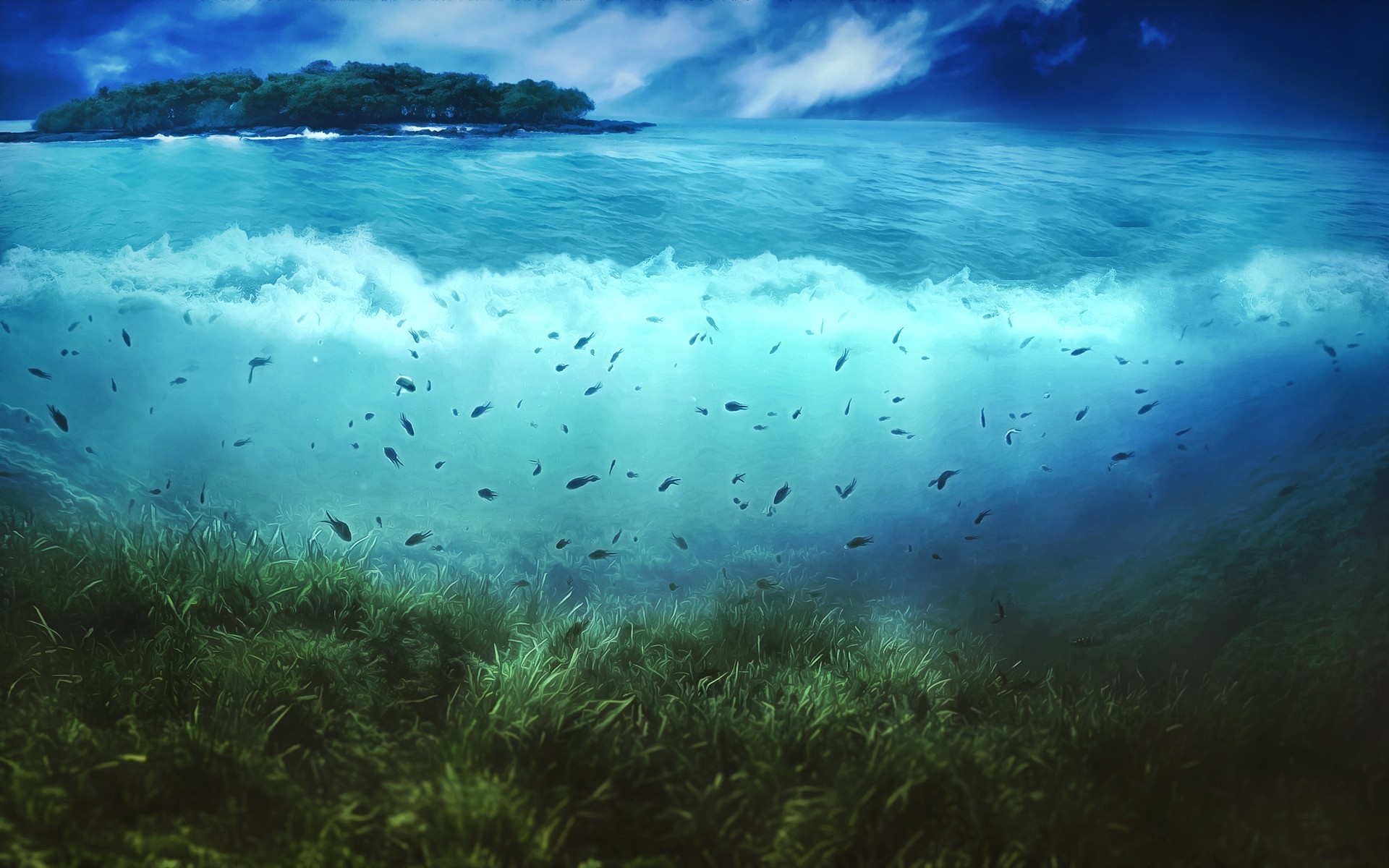 1920x1200 #underwater, #fish, #sea, #seaweed, #algae, wallpaper